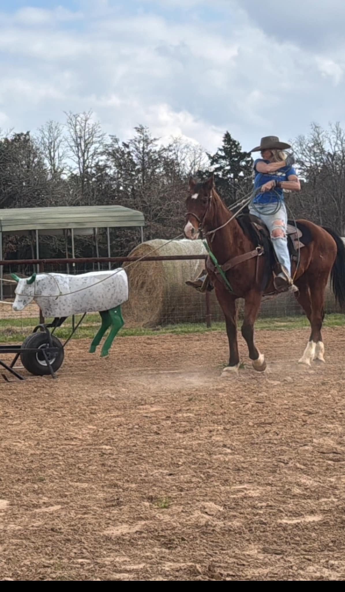 Person riding a horse, holding a child, with a sheep pulling a cart nearby outdoors.
