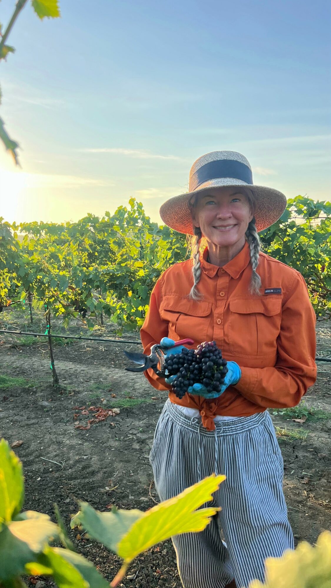Smiling woman in a wide-brimmed hat and orange shirt holding a bunch of grapes in a vineyard.