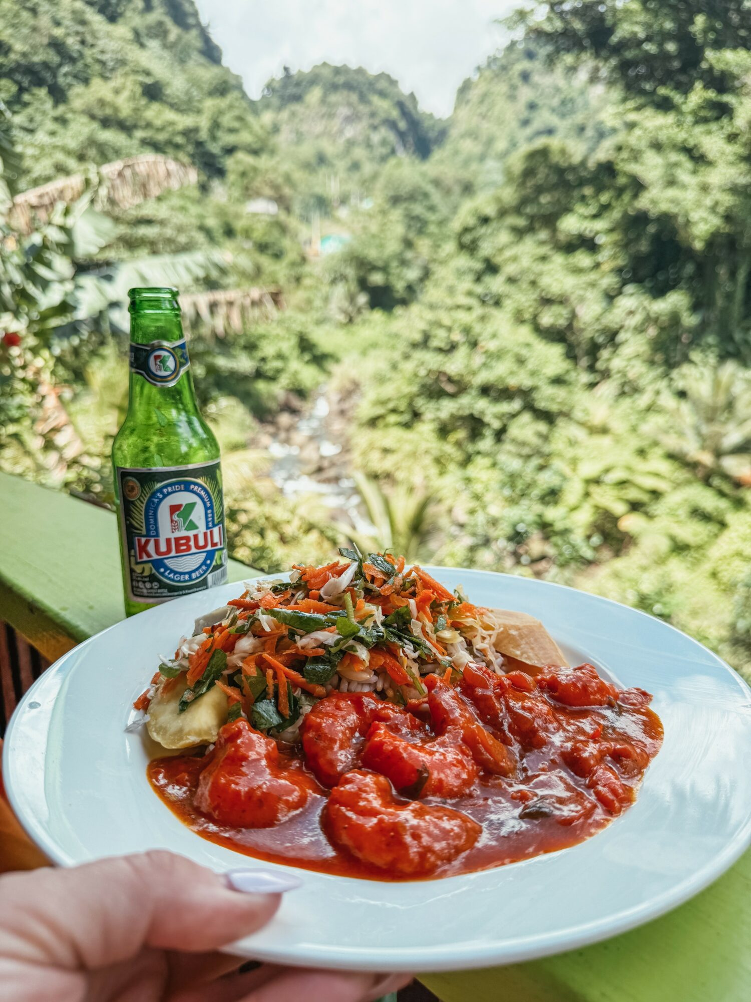 Plate of food with sauce and vegetables, and a green bottle, outdoors with trees and a river in the background.