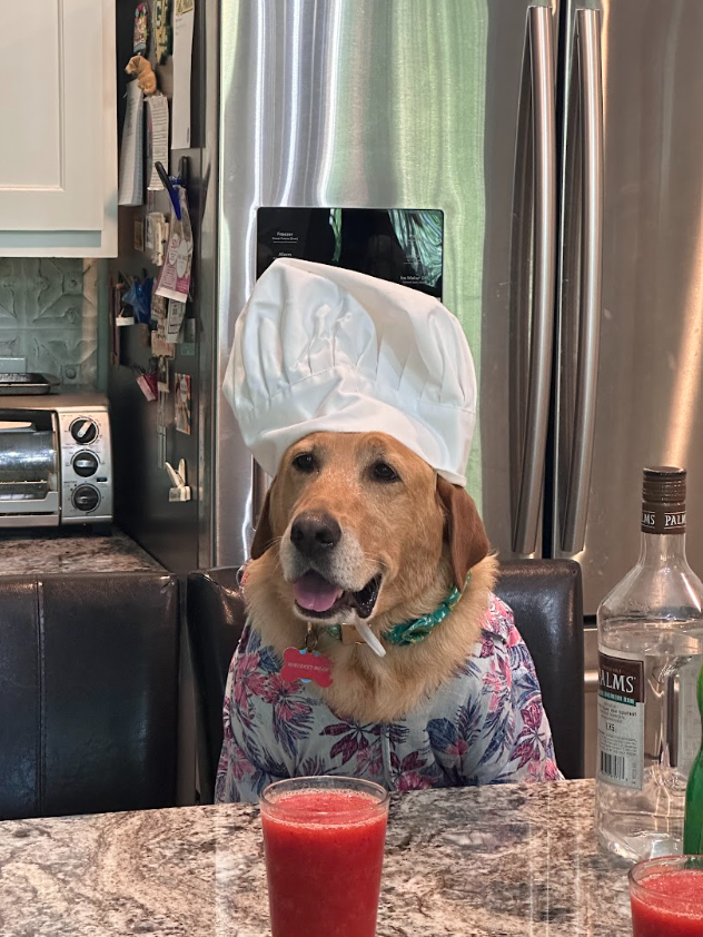 Dog wearing a chef's hat and a floral shirt sitting at a kitchen table with a red drink in front.