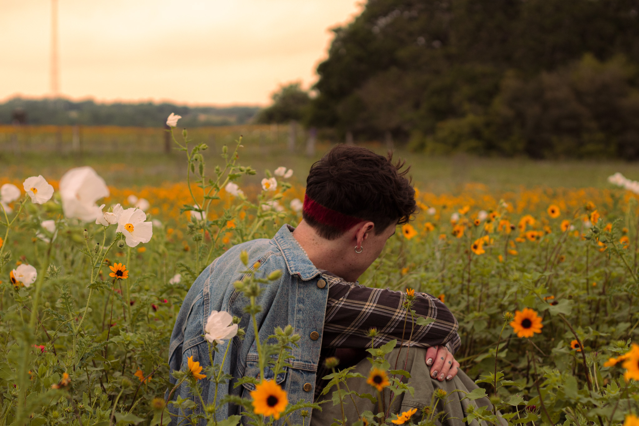 Person with dark curly hair in a denim jacket and plaid shirt sitting in a flower field, facing away, with trees and sky in background.