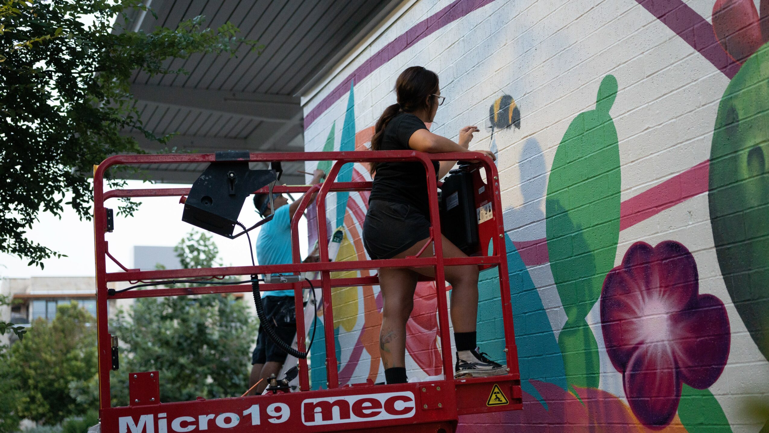 Person standing on a lift painting a colorful mural with flowers and abstract shapes on a wall.