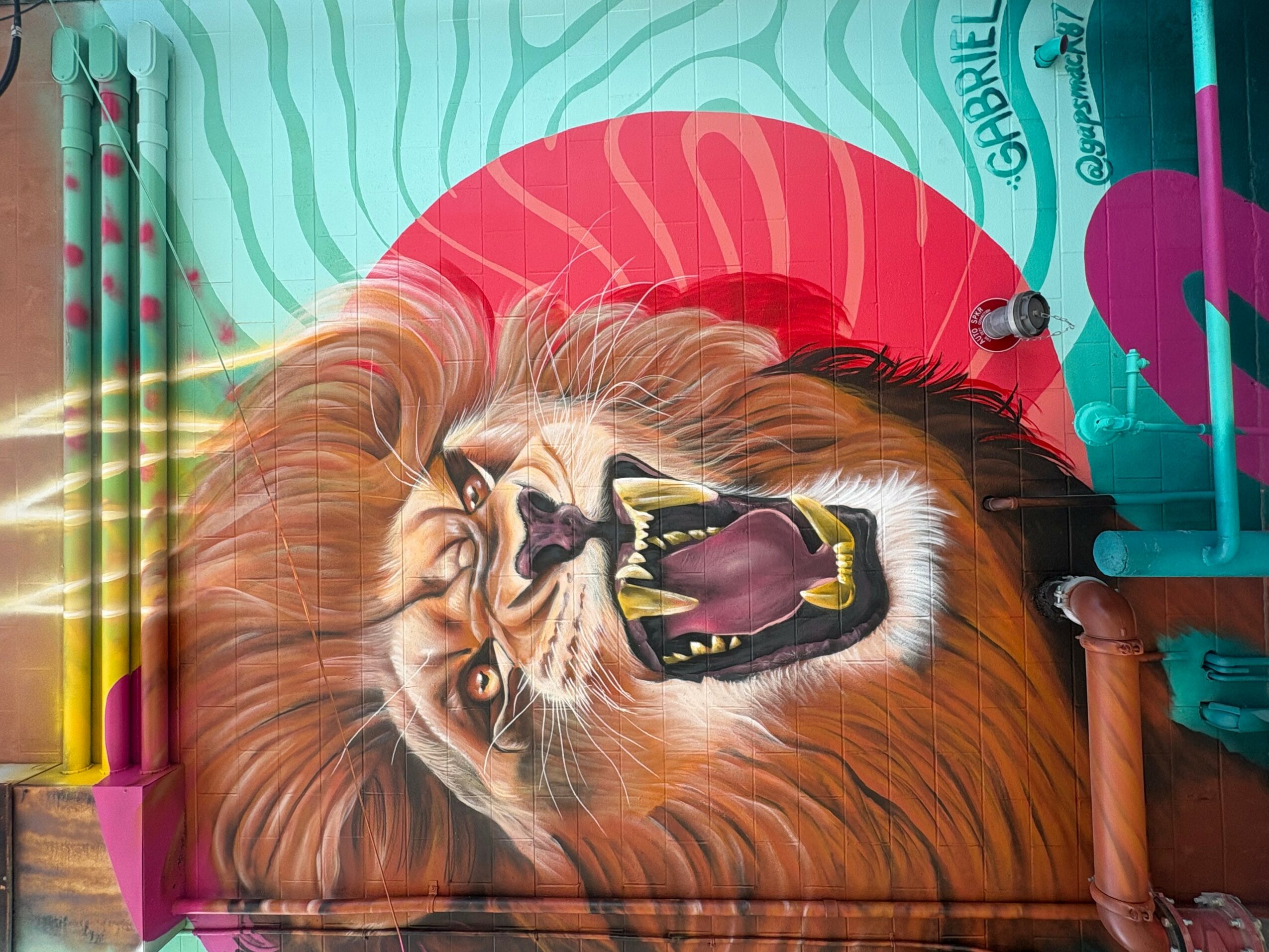 Lion mural with open mouth, surrounded by colorful abstract background and objects, viewed sideways.