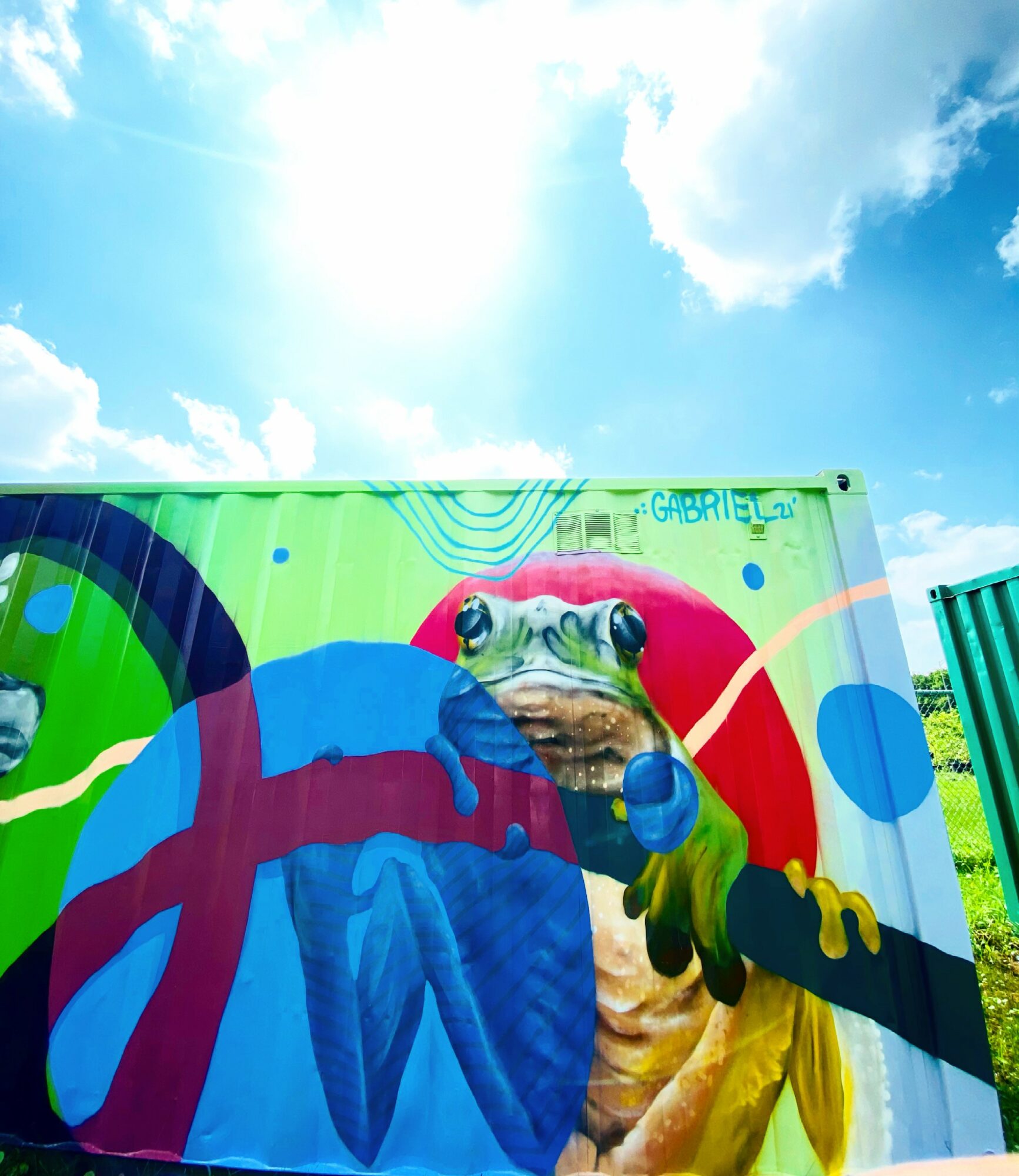 Colorful mural of a frog holding a paintbrush, with a rainbow and abstract shapes, on a bright blue sky background.