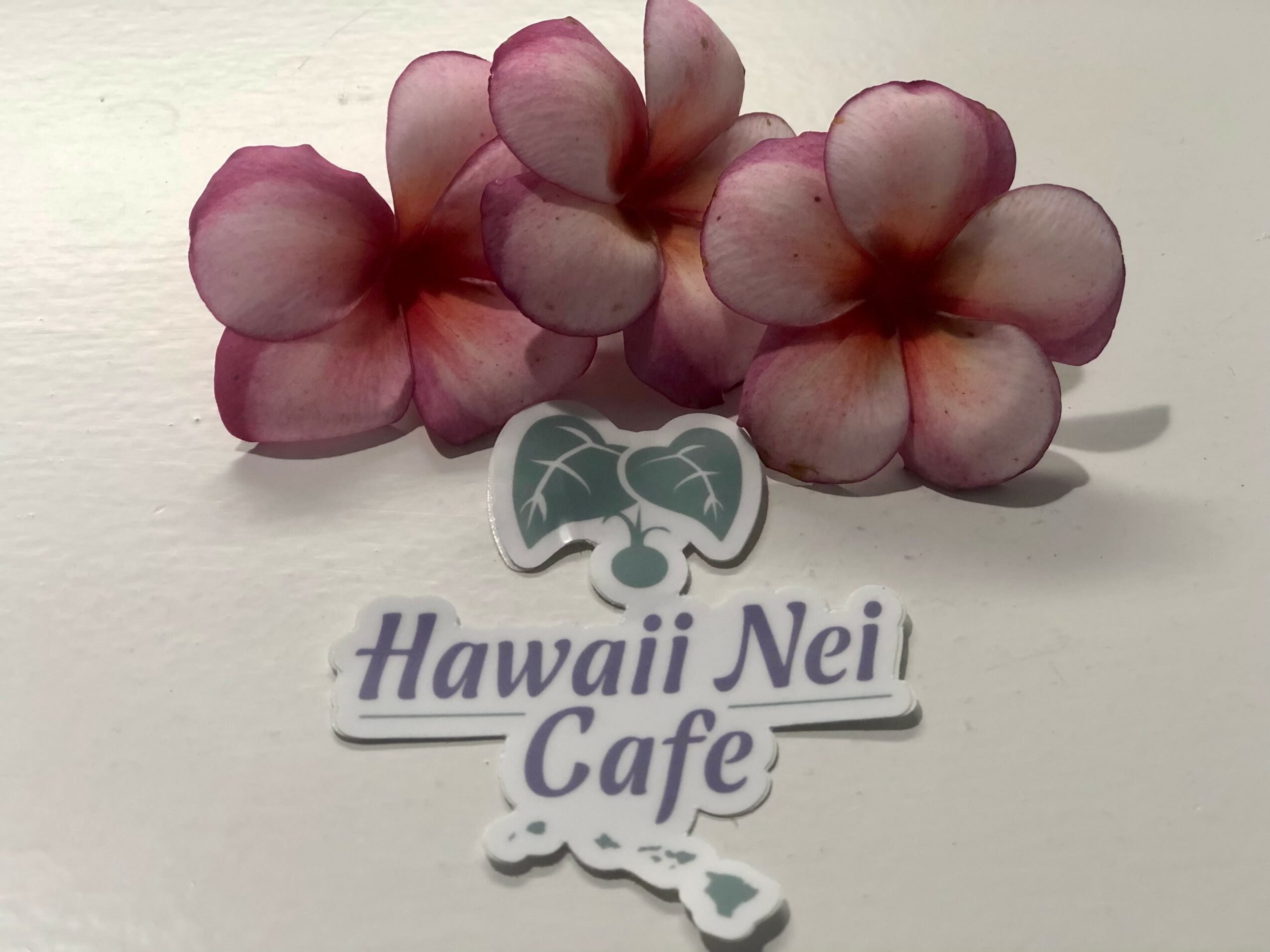 Two pink and white plumeria flowers with a Hawaii Nei Cafe sticker below, on a white surface.