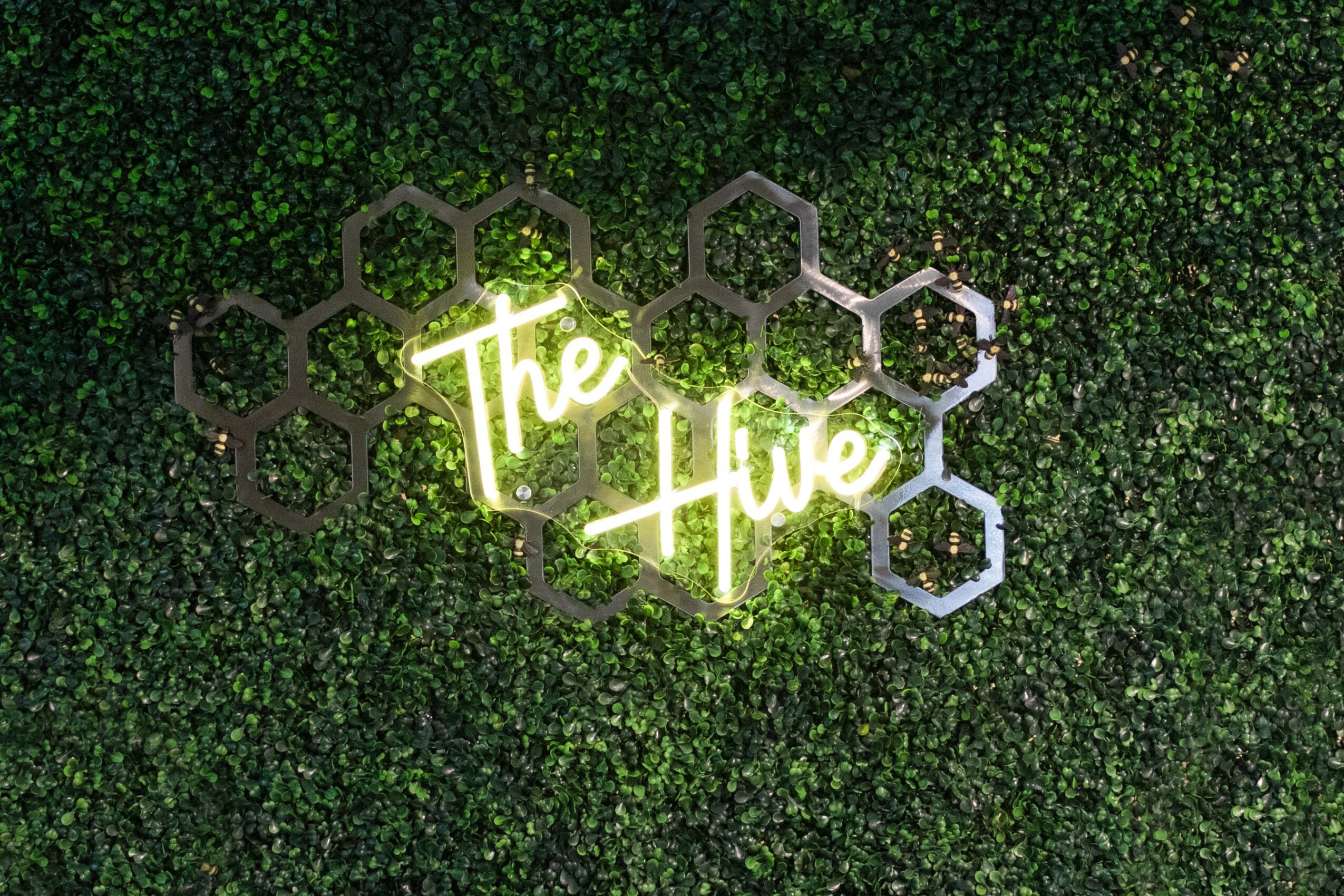 Neon sign reads 'The Hive' on a green leafy background.