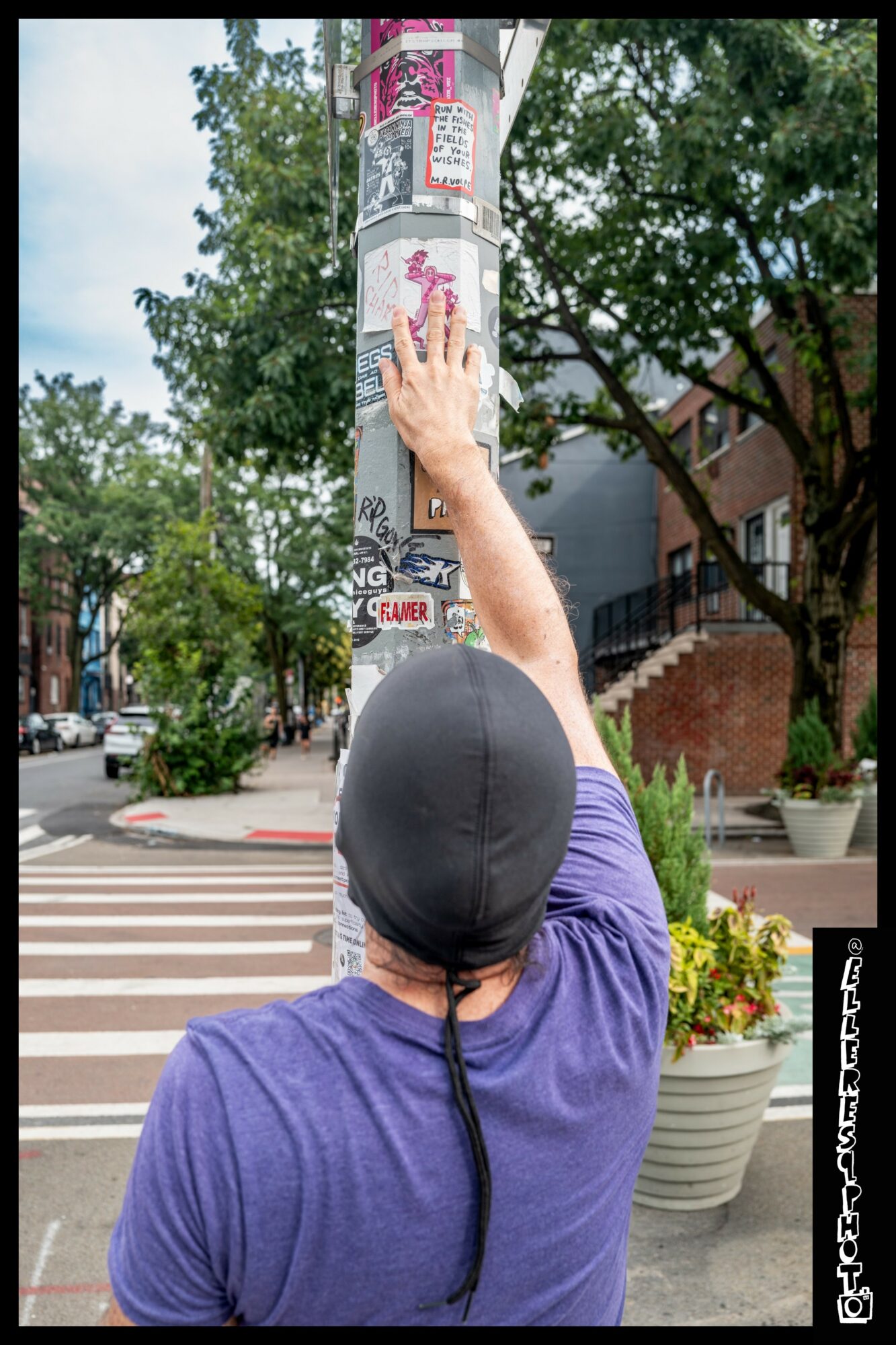 Person reaching up to a pole covered with stickers and posters, wearing a black cap and purple shirt, on a city sidewalk.