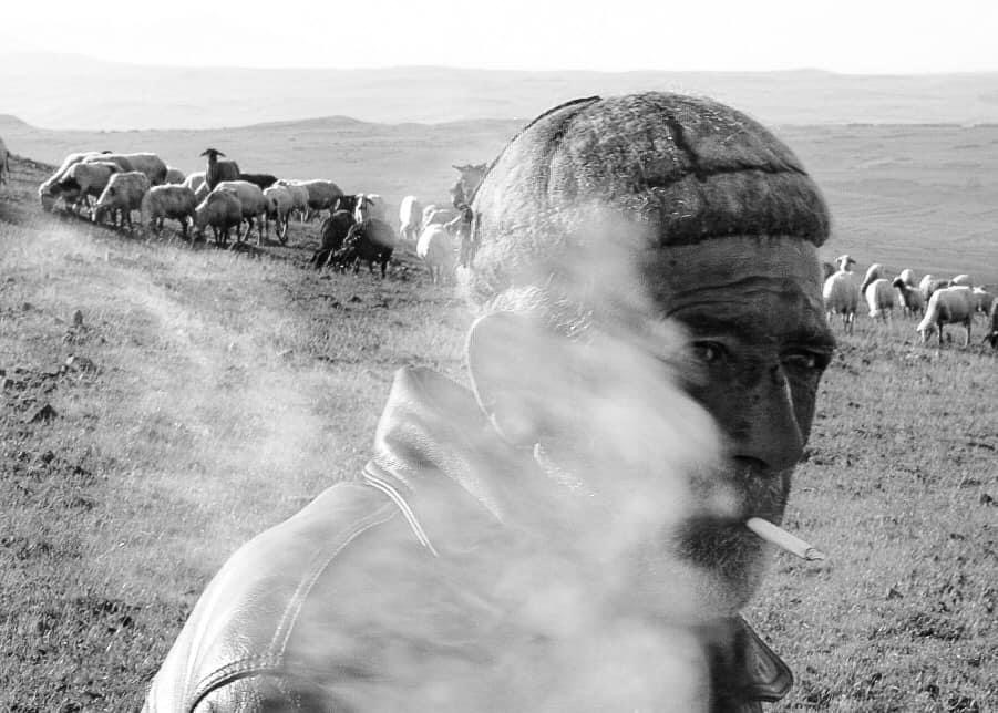A person with short hair smokes a cigarette, with a herd of animals and open landscape in the background.