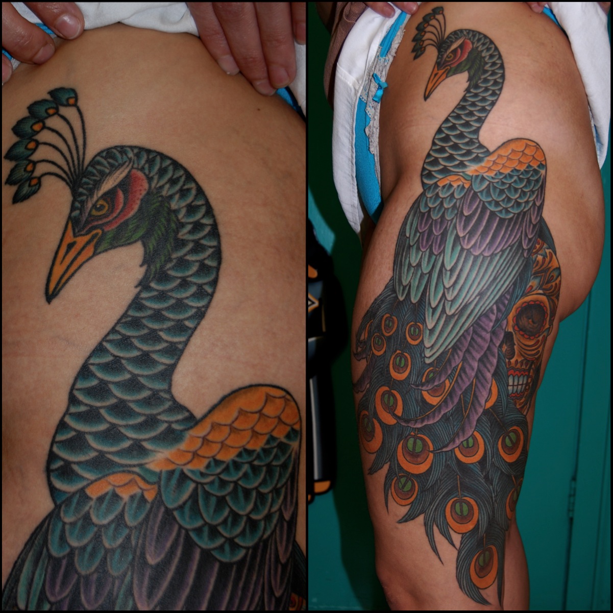 Colorful peacock tattoo on person's shoulder and upper arm, detailed feathers and vibrant colors, viewed from different angles.