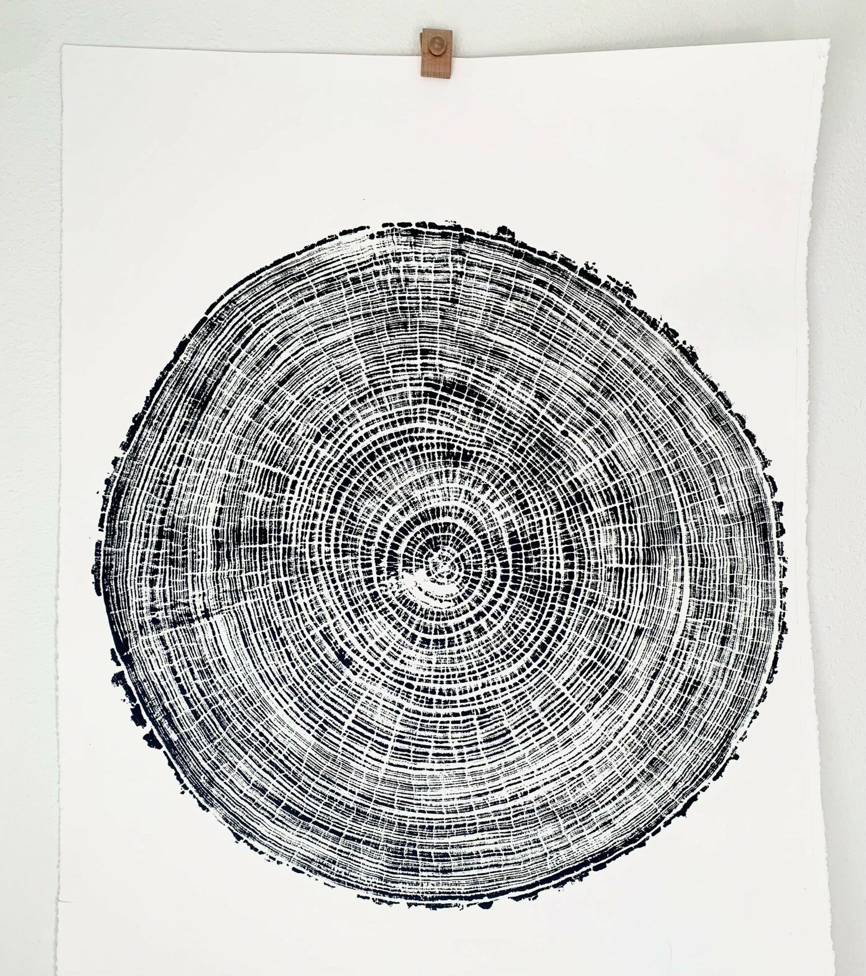 Black and white circular pattern resembling tree rings or a cross-section of a tree trunk, on white background.