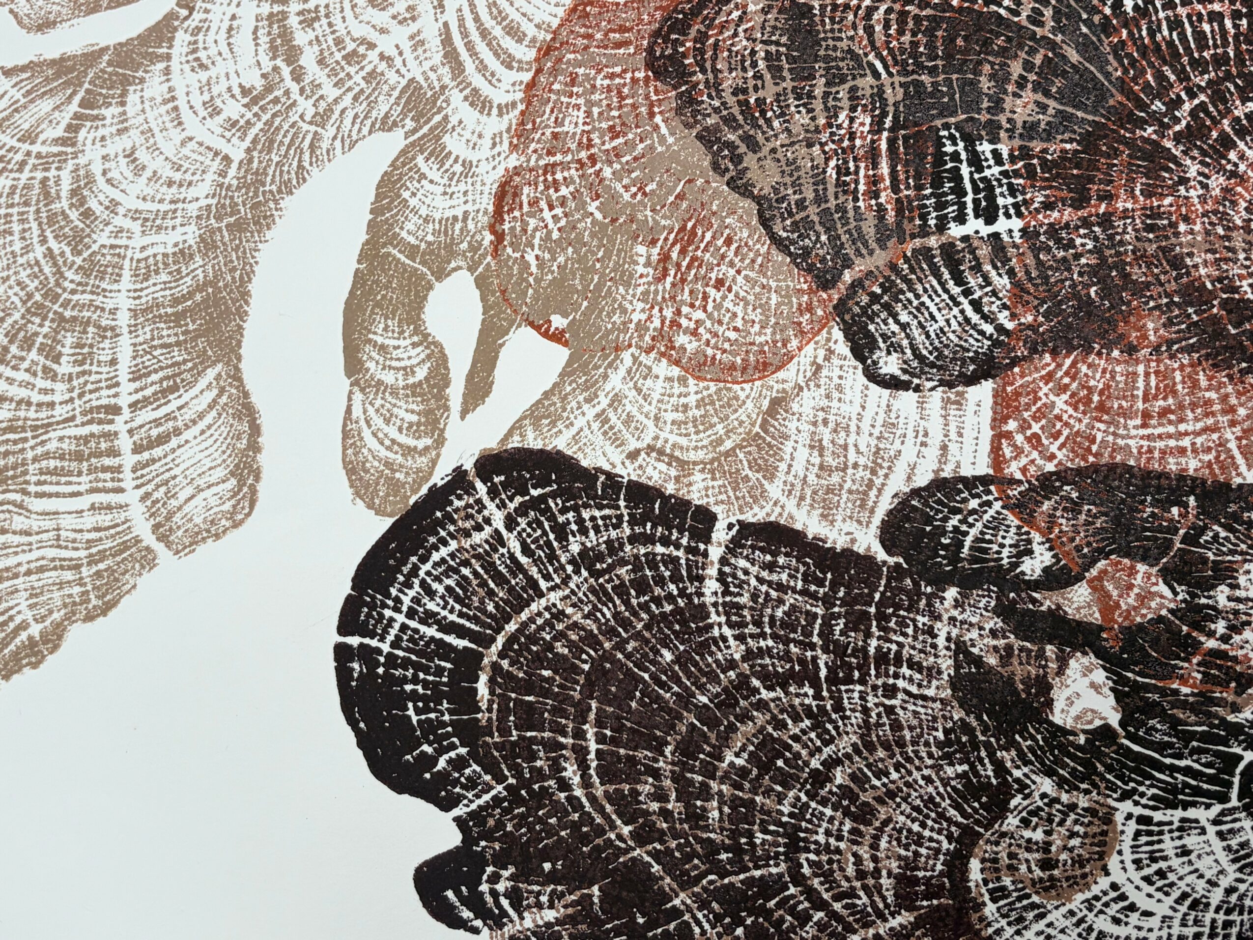 Close-up of textured, layered, and patterned wood slices with visible growth rings and natural colors.