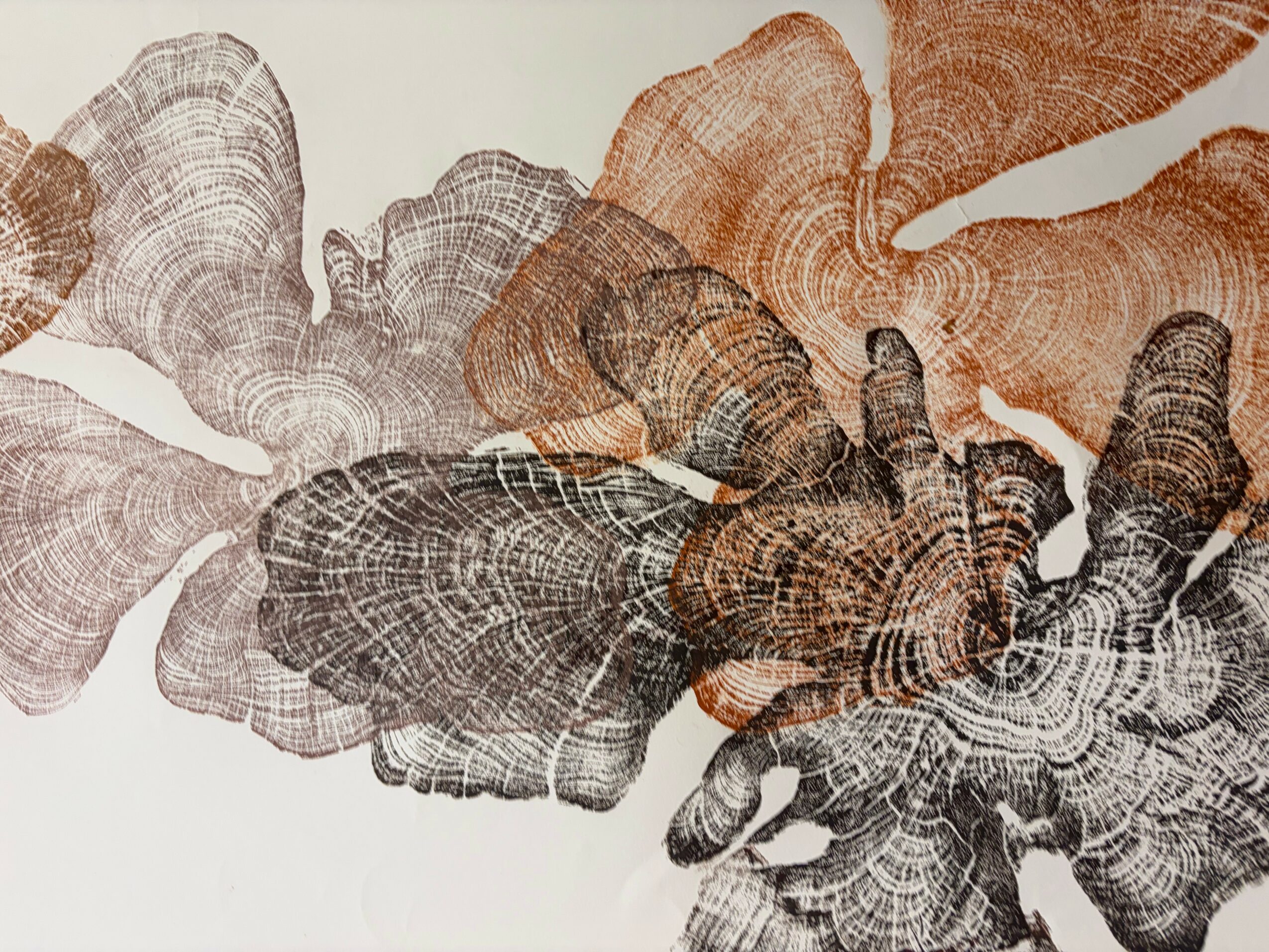 Abstract leaf-like patterns in shades of brown and gray on a white background.