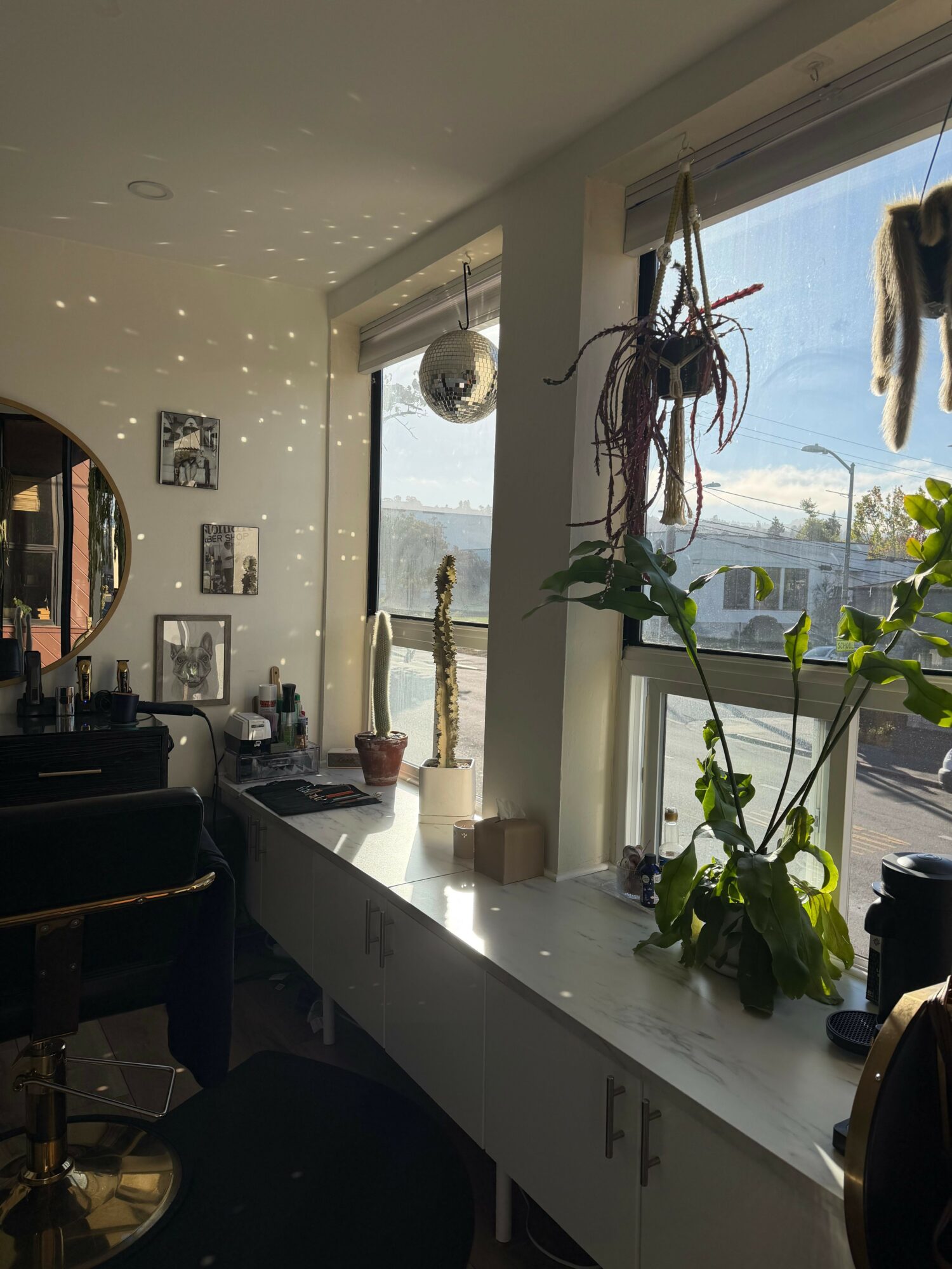 View from inside a room looking out through a large window with a boat and water outside, plants on the windowsill, and framed photos on the wall.