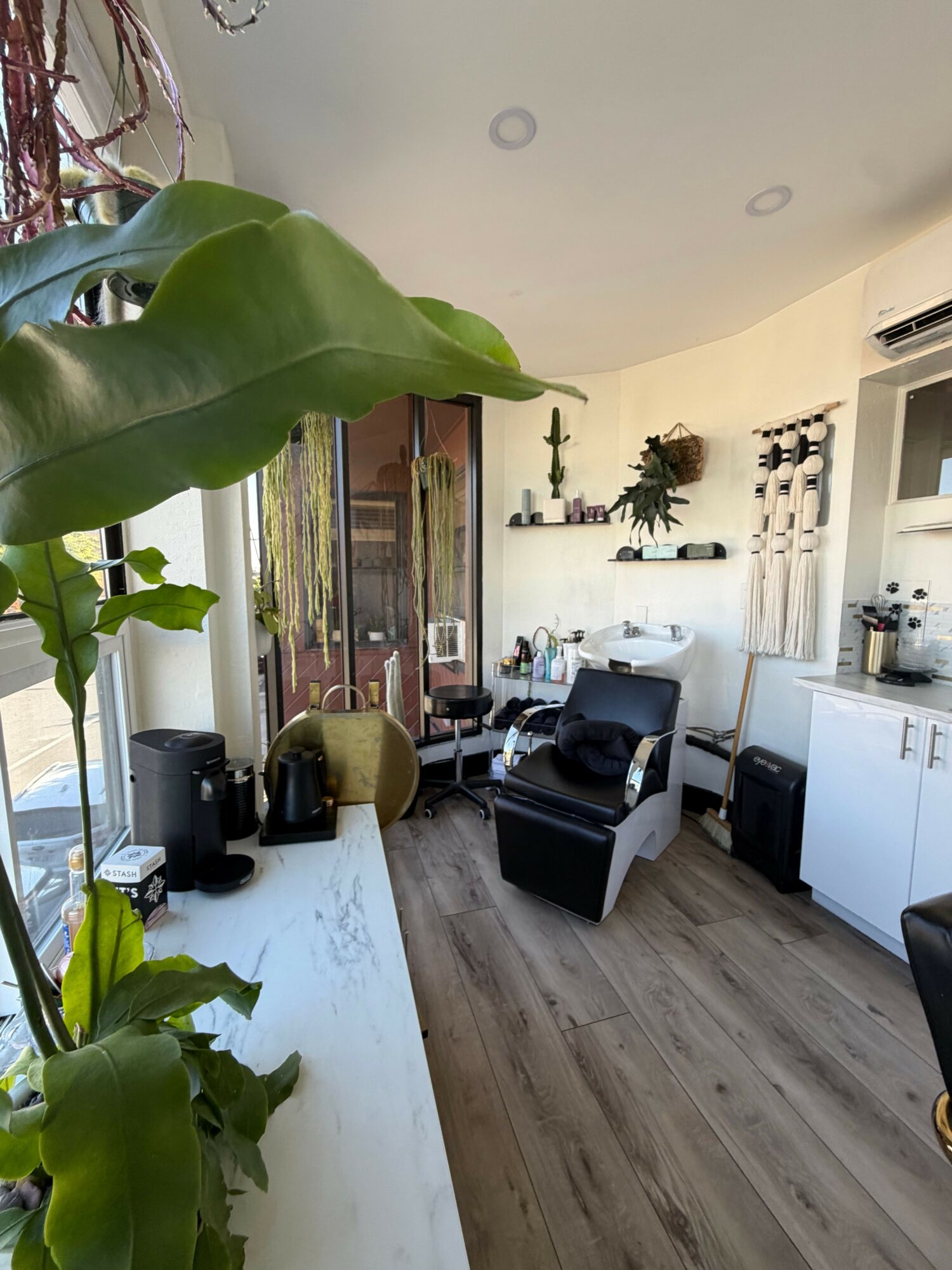 Living room with plants, furniture, and a view into the kitchen area, seen from a corner angle.