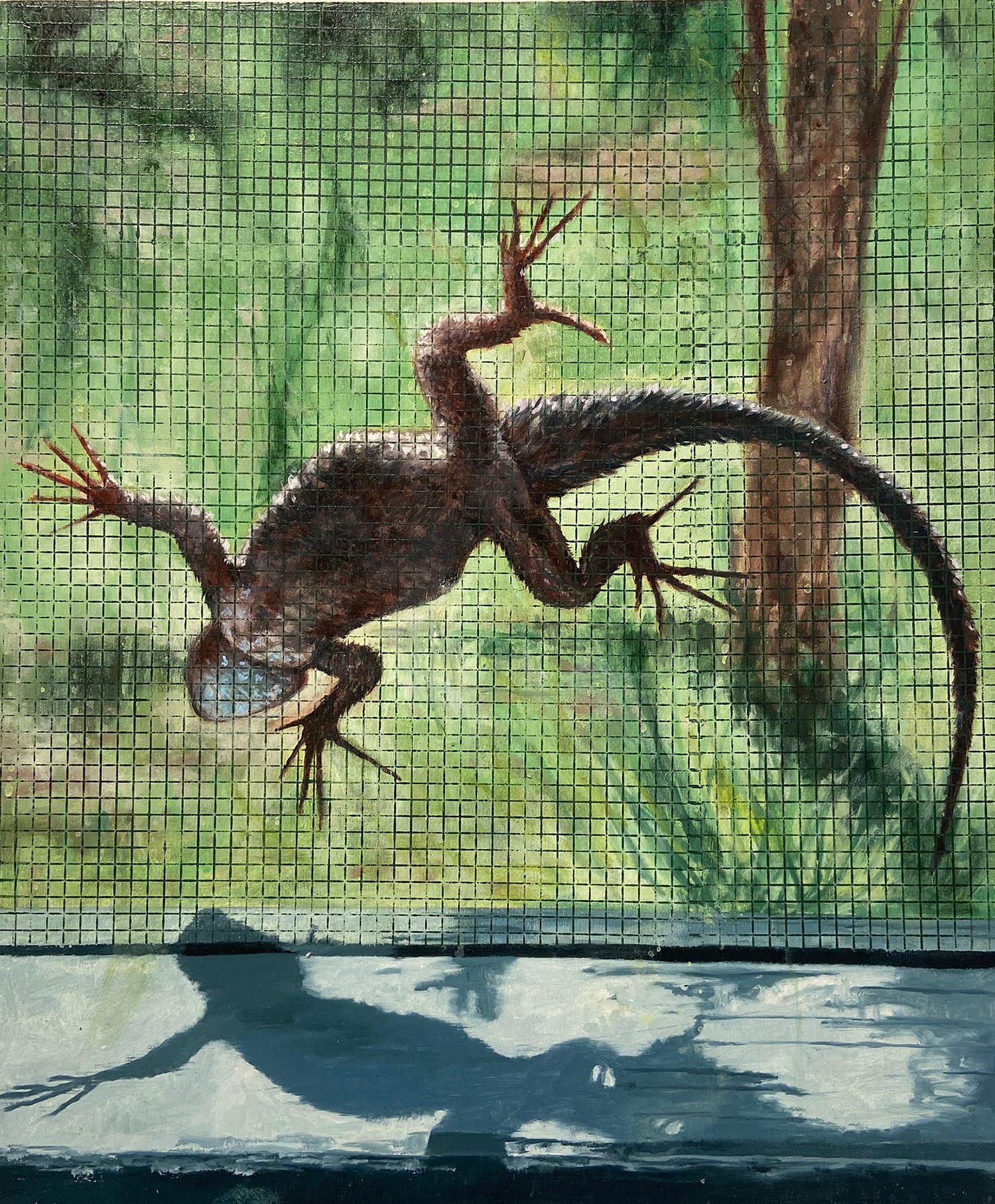 Lizard on a mesh screen with a tree and greenery in the background, casting a shadow on a surface below.