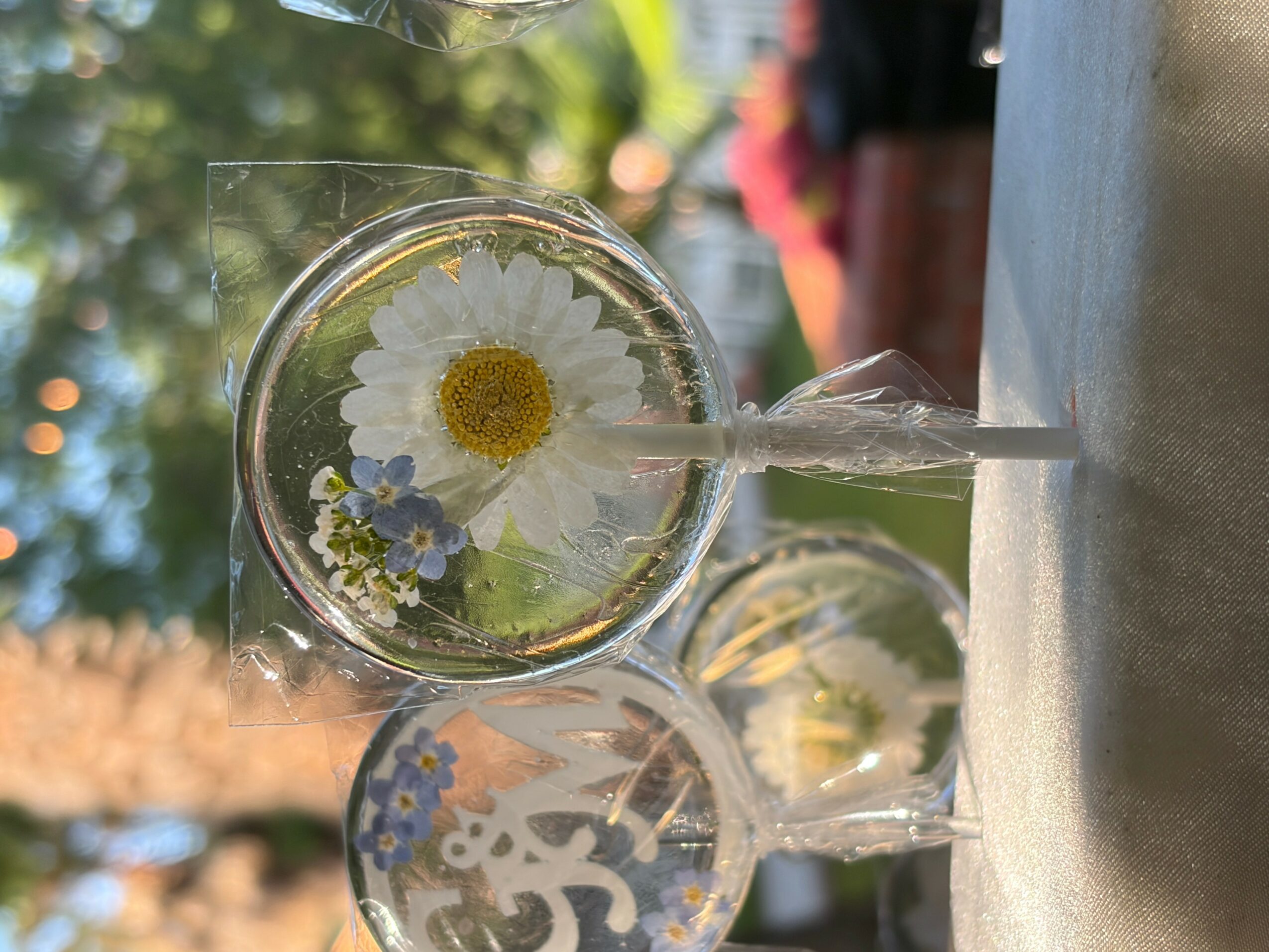 Two glasses with daisy and small blue flowers inside, outdoors with trees and sunlight in background.