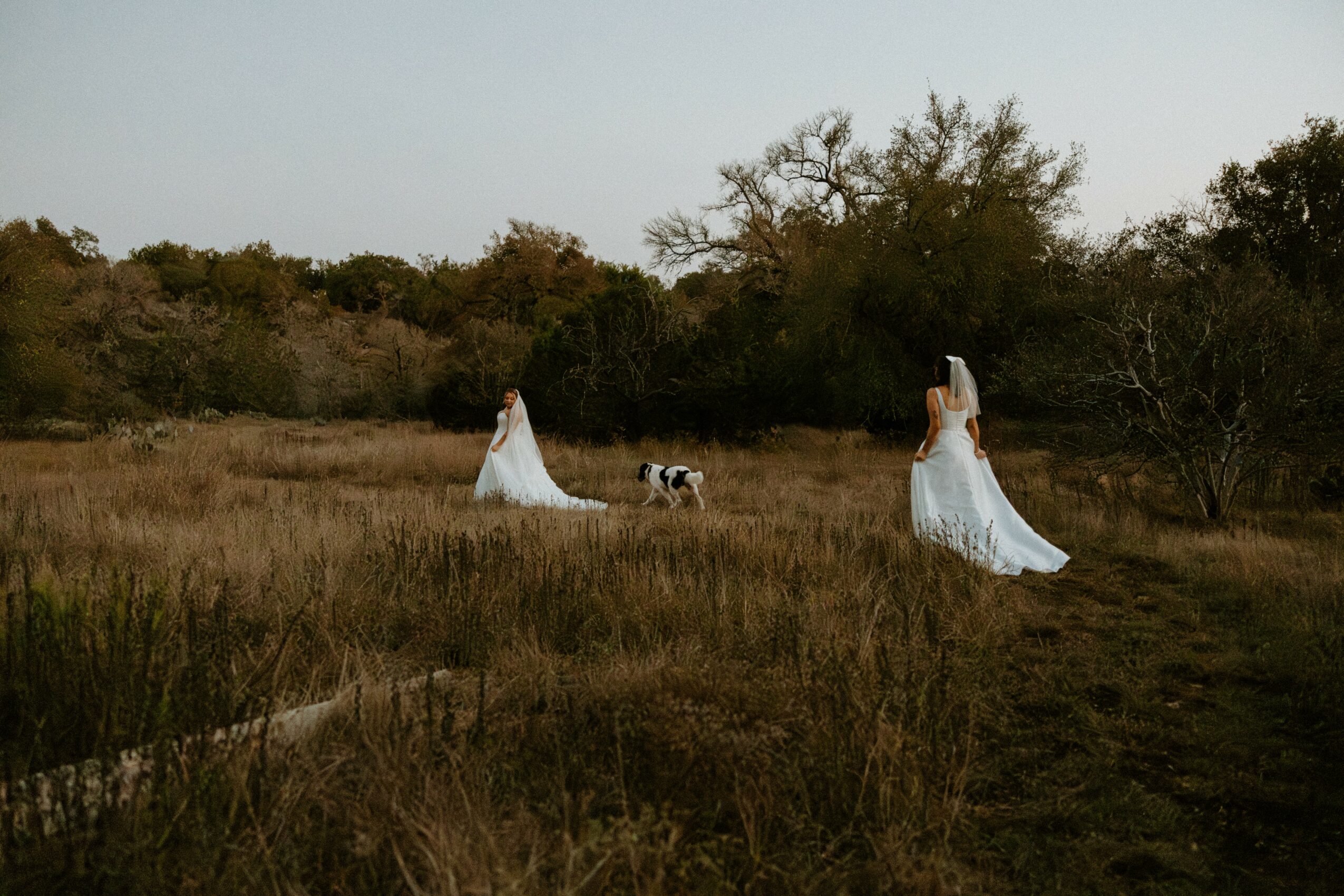 Two women in white dresses stand in a grassy field with a dog, surrounded by trees and open sky.