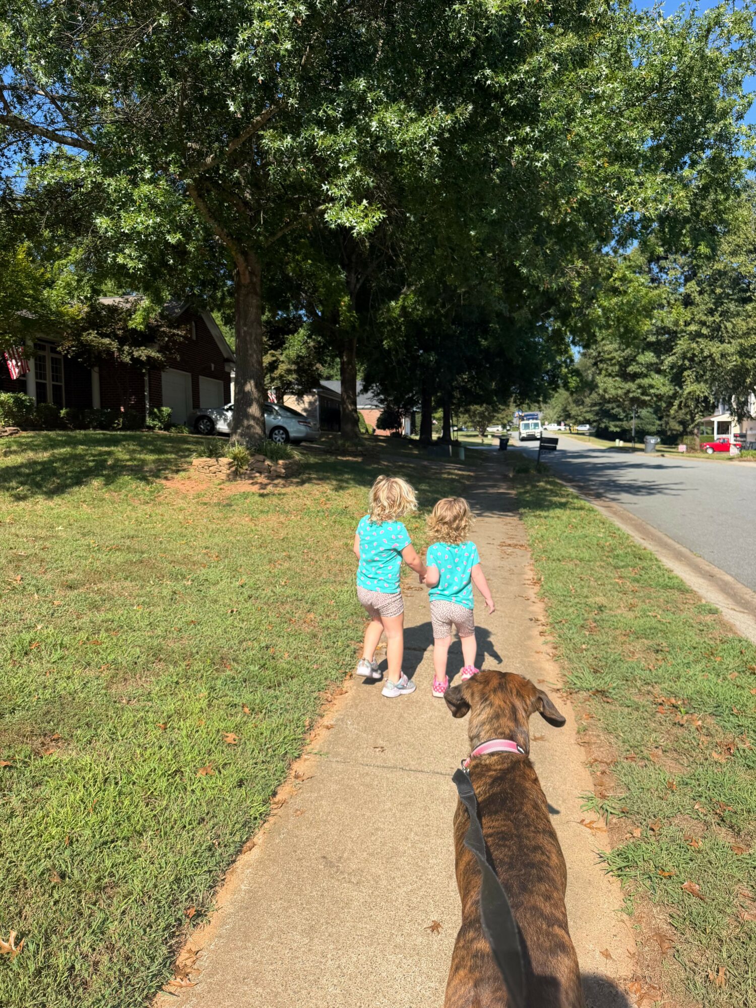 Two children walk on a sidewalk with a dog, trees and a street in the background.