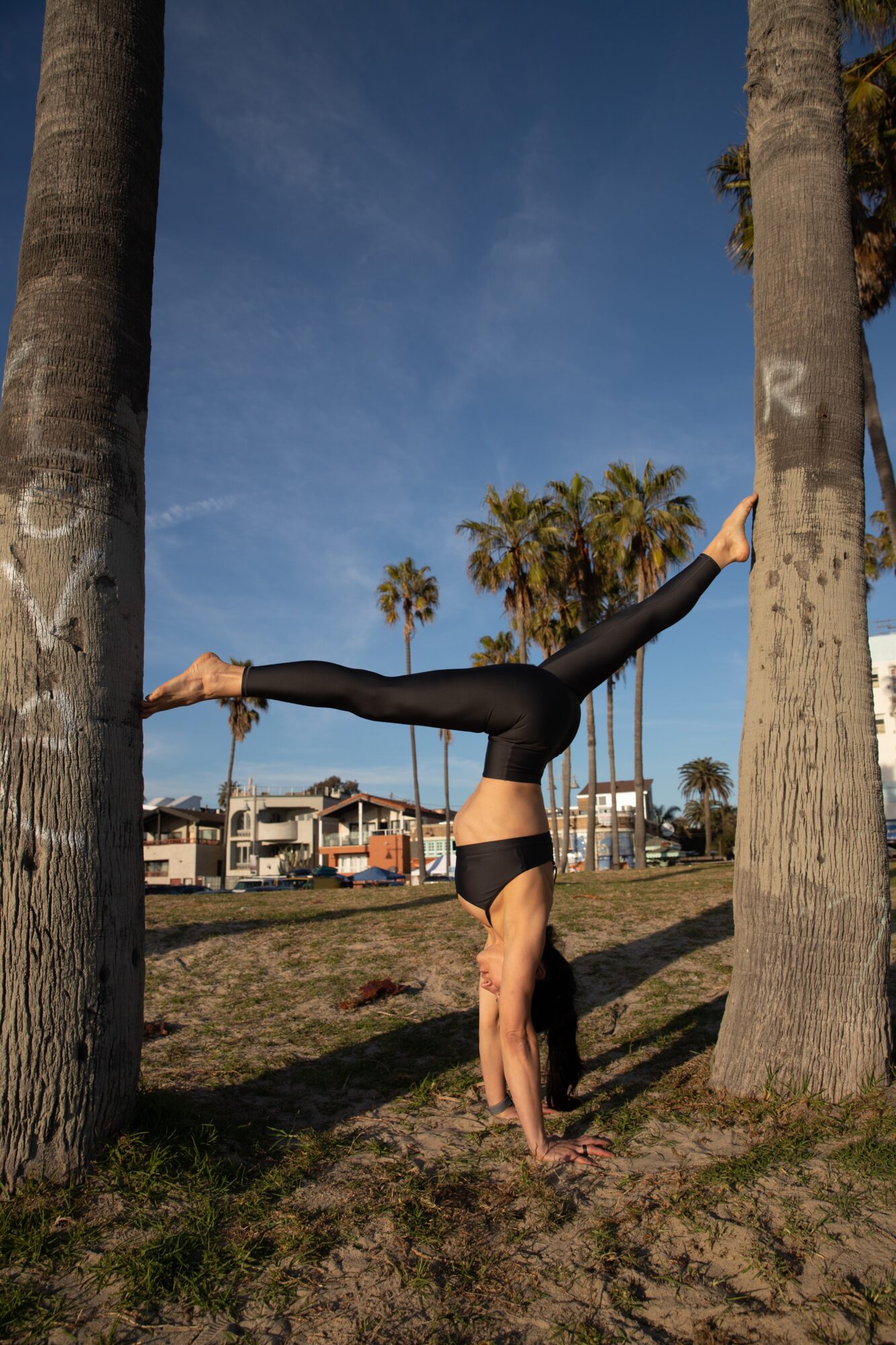 Person balancing horizontally between two palm trees in a grassy park under a blue sky.