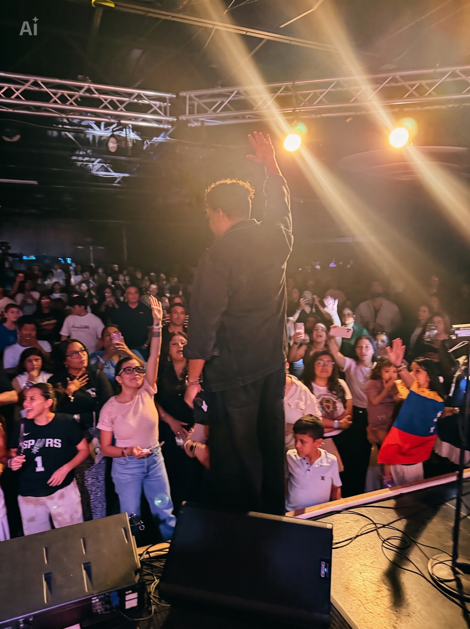 Performer on stage with back to audience, bright stage lights, large crowd, some holding flags, in a concert setting.
