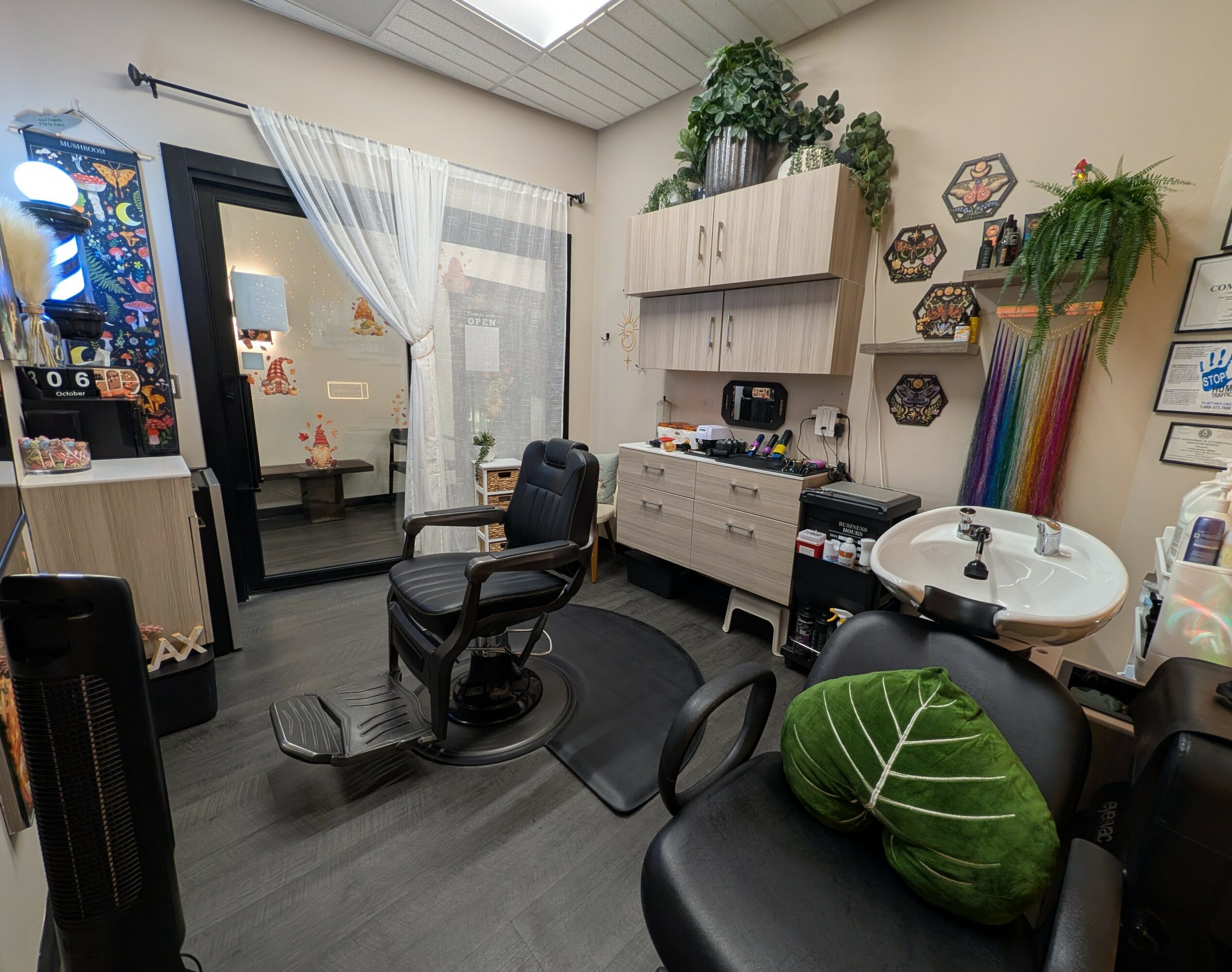 Room with chairs, a sink, shelves, plants, and artwork, viewed through a doorway with a curtain. Ceiling skylight visible.
