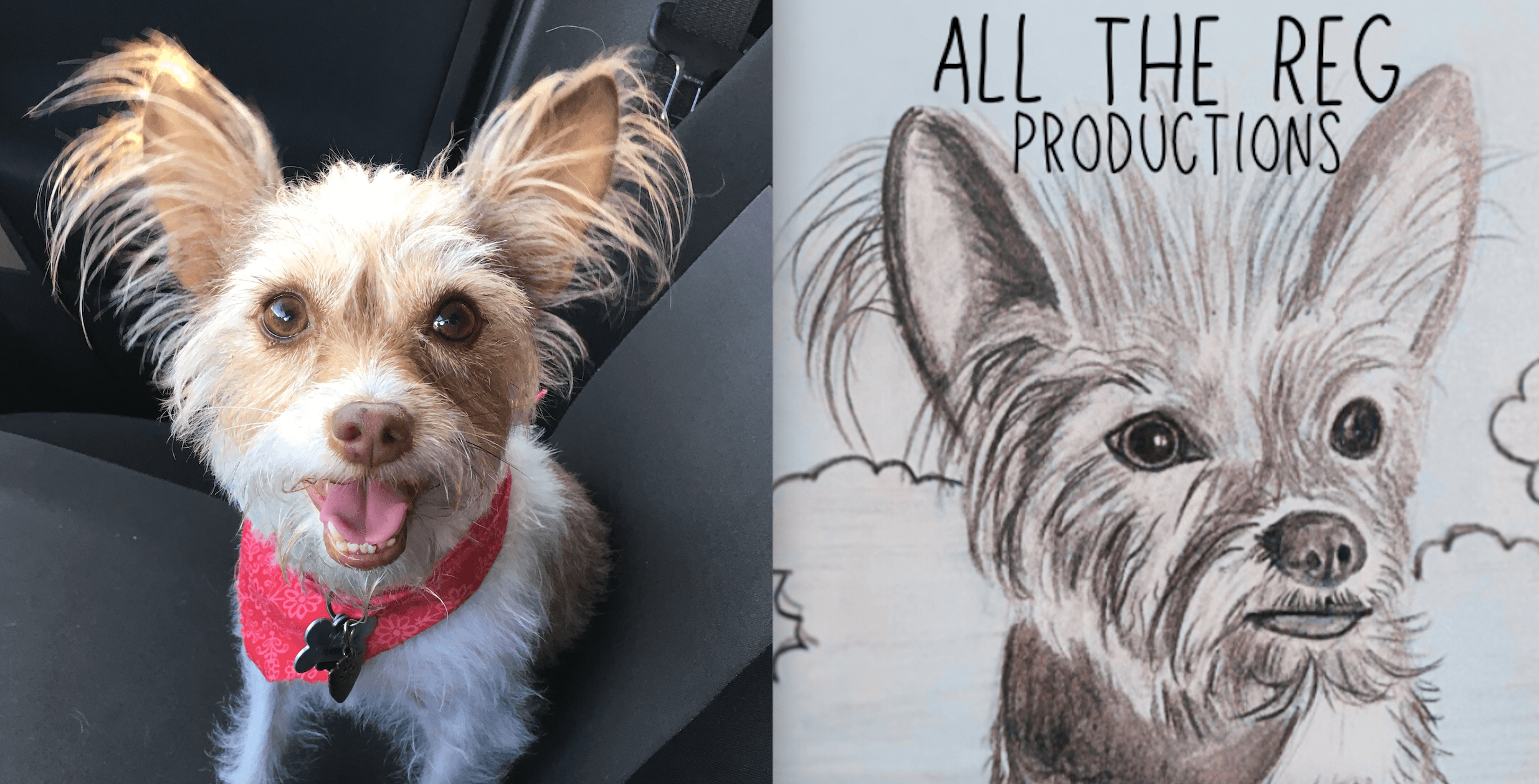 Photo of a small dog with large ears and a pink collar, smiling, sitting inside a vehicle.
