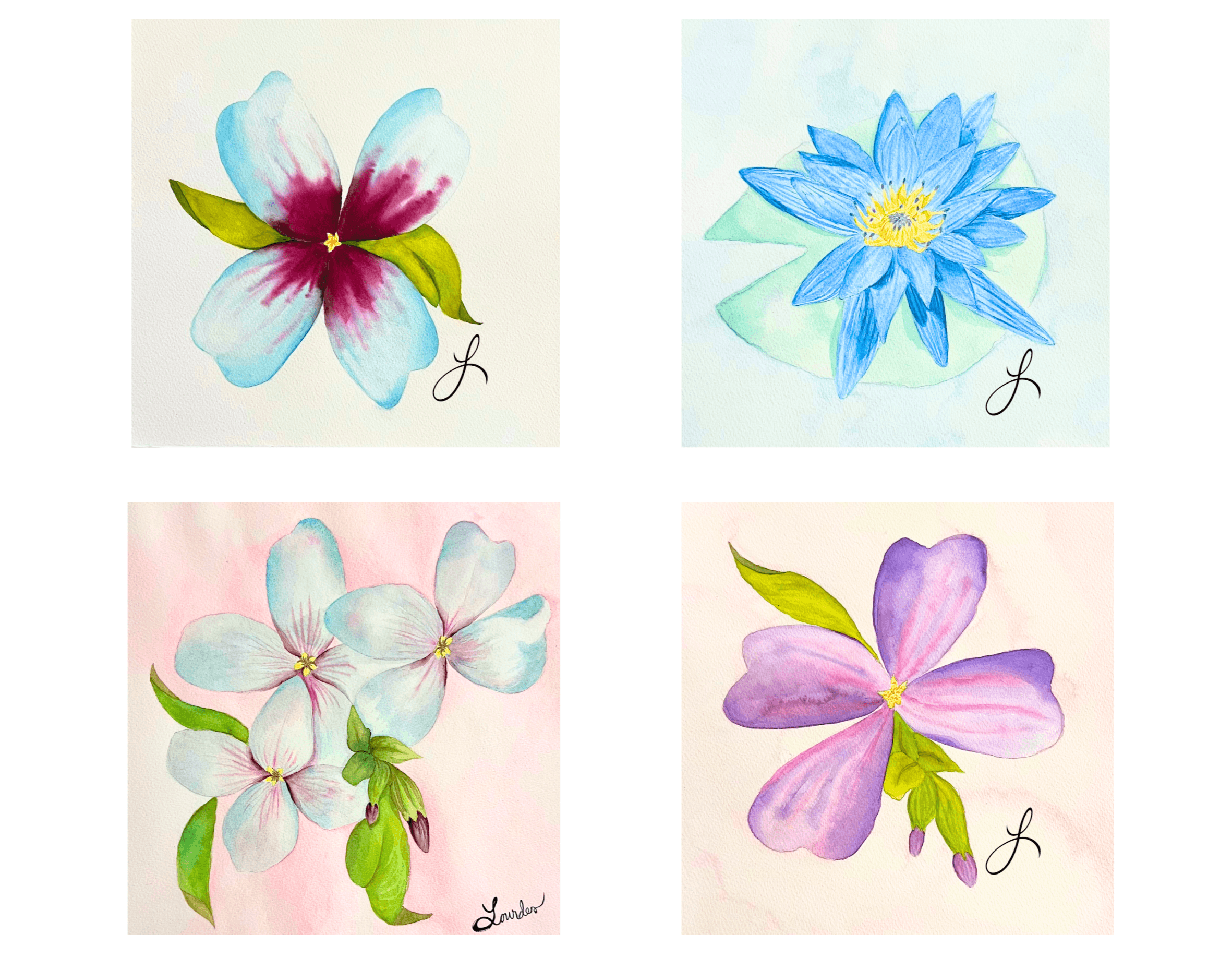 Four watercolor flowers: a pink and white flower, a blue water lily, a cluster of white flowers, and a purple flower.