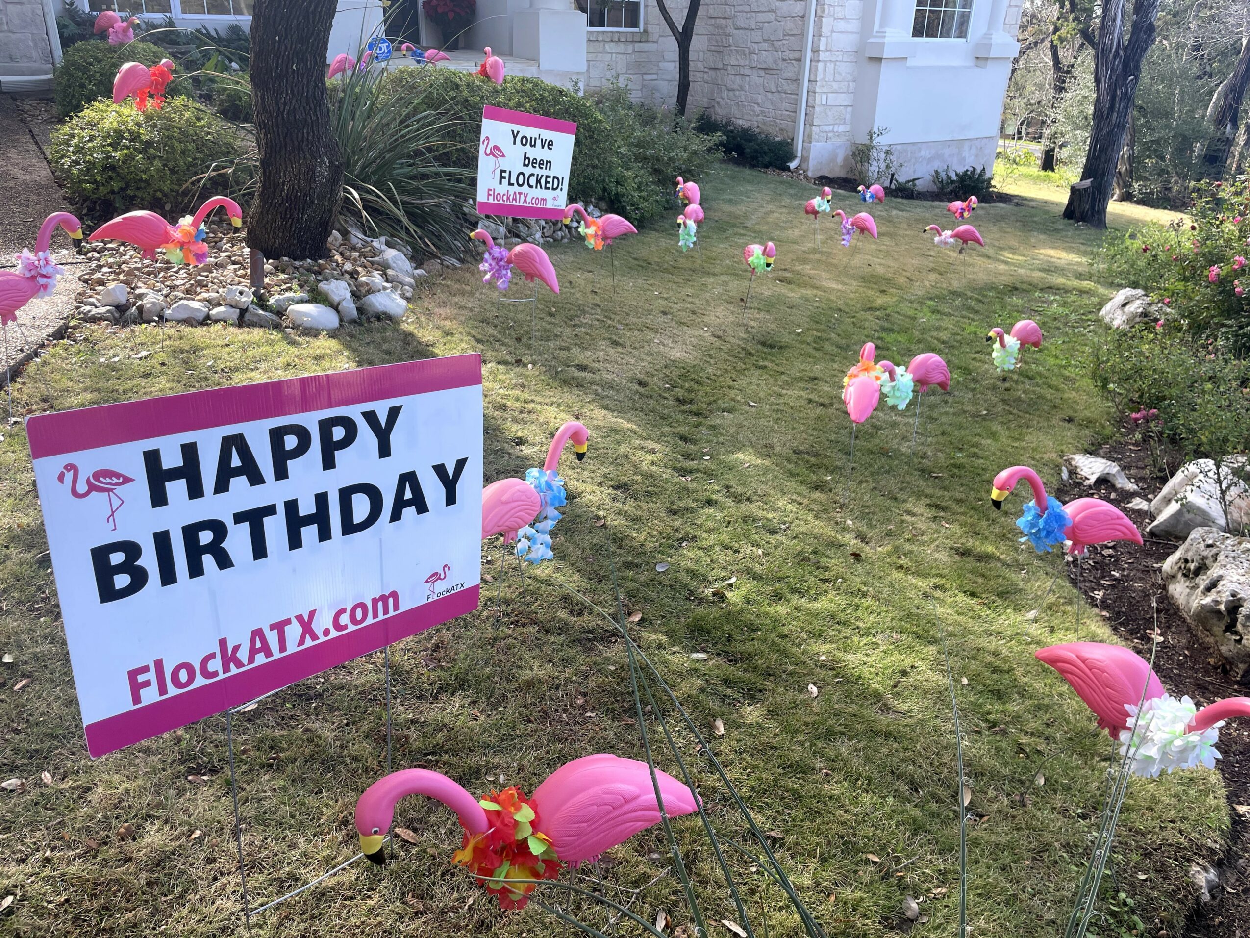 Garden decorated with pink flamingo lawn ornaments and birthday signs, with trees and a house in the background.