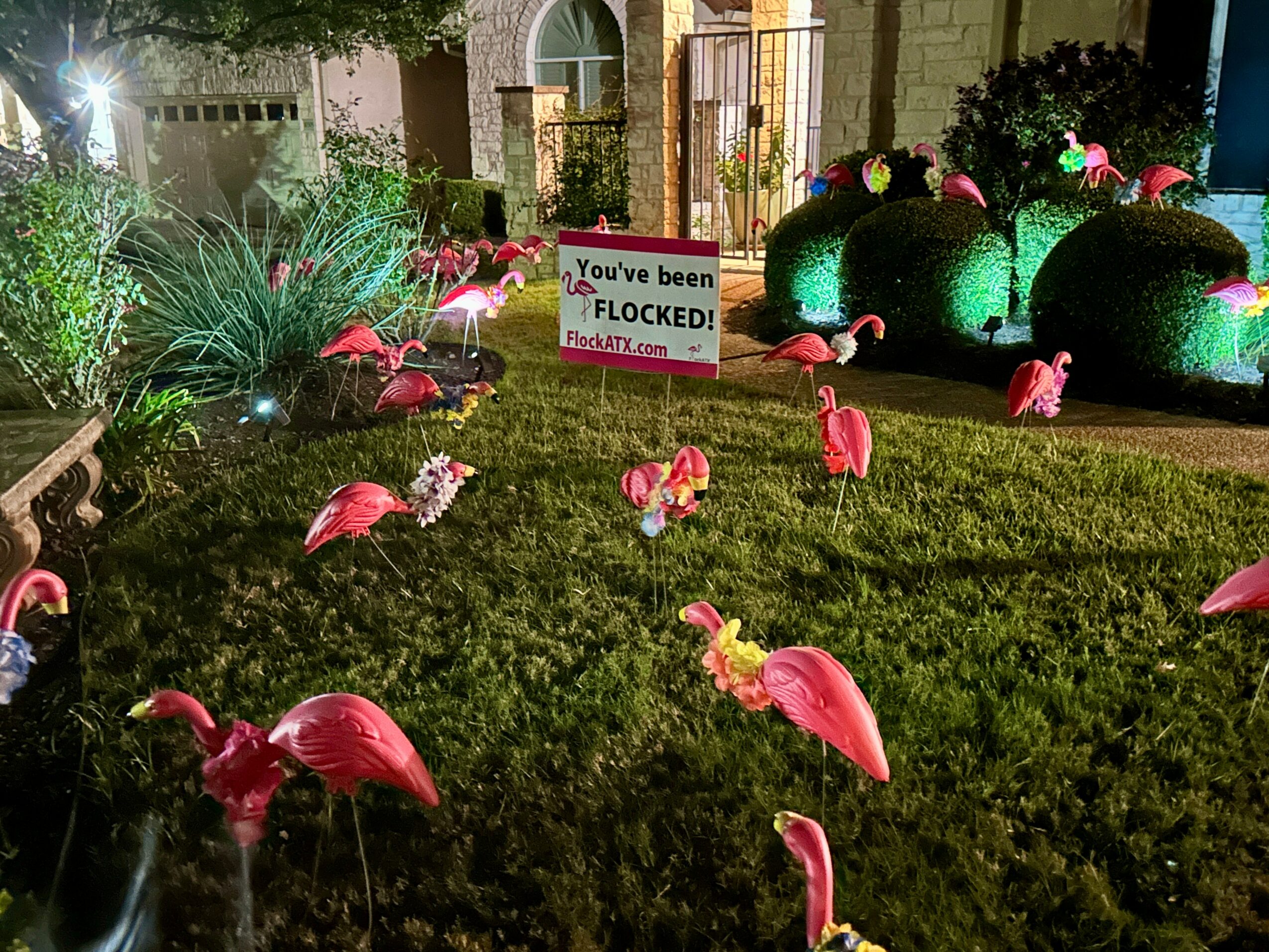 Garden scene with pink flamingo lawn ornaments, illuminated plants, and a sign that reads 'You've been FLOCKED!' at night.