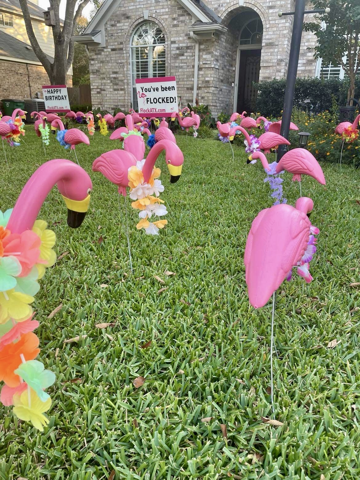 Pink flamingo lawn ornaments and colorful flower decorations on grass in front of a building with signs about flooding.