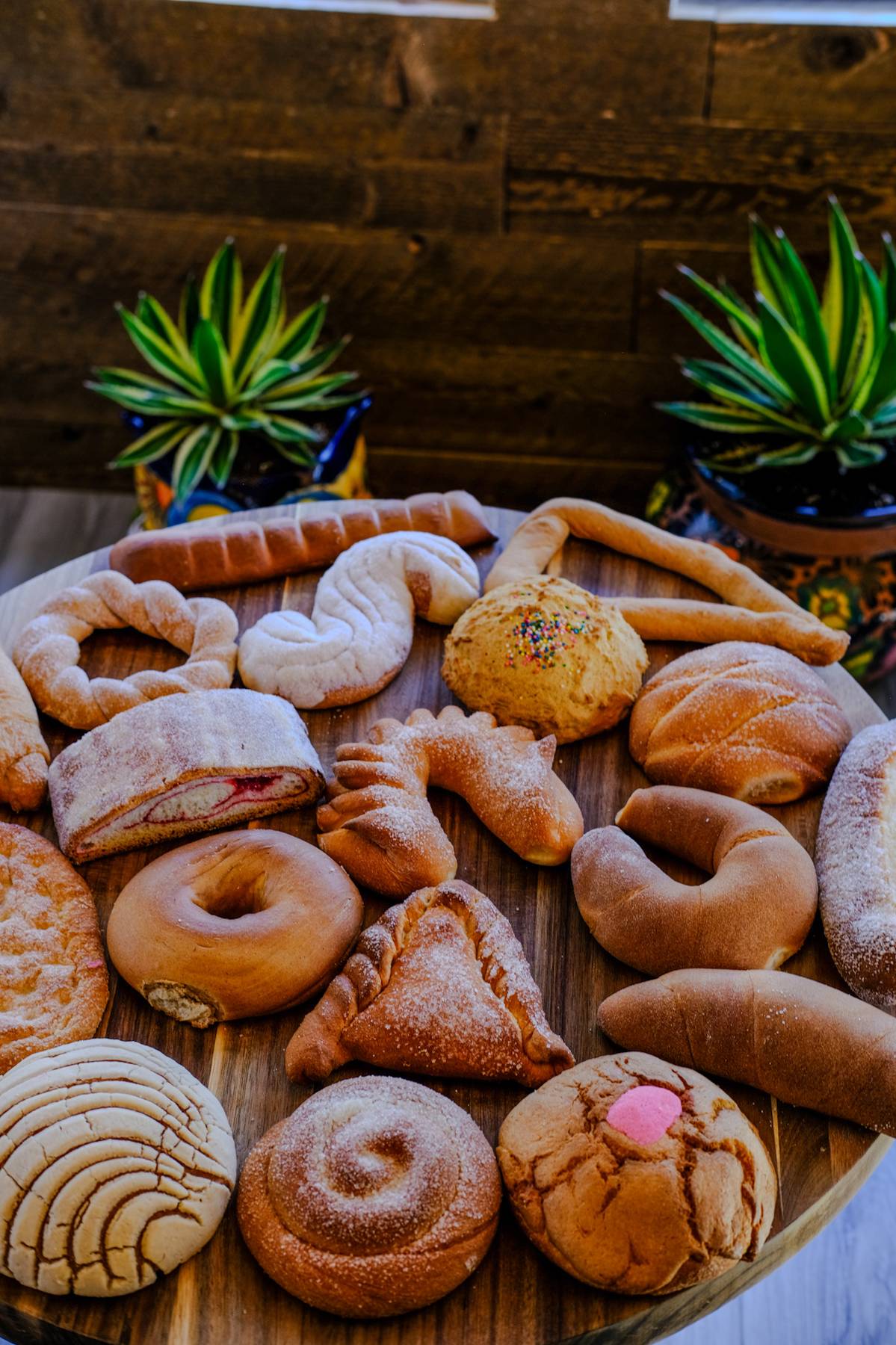 Assorted baked goods on a tray with two potted plants in the background, against a wooden wall.