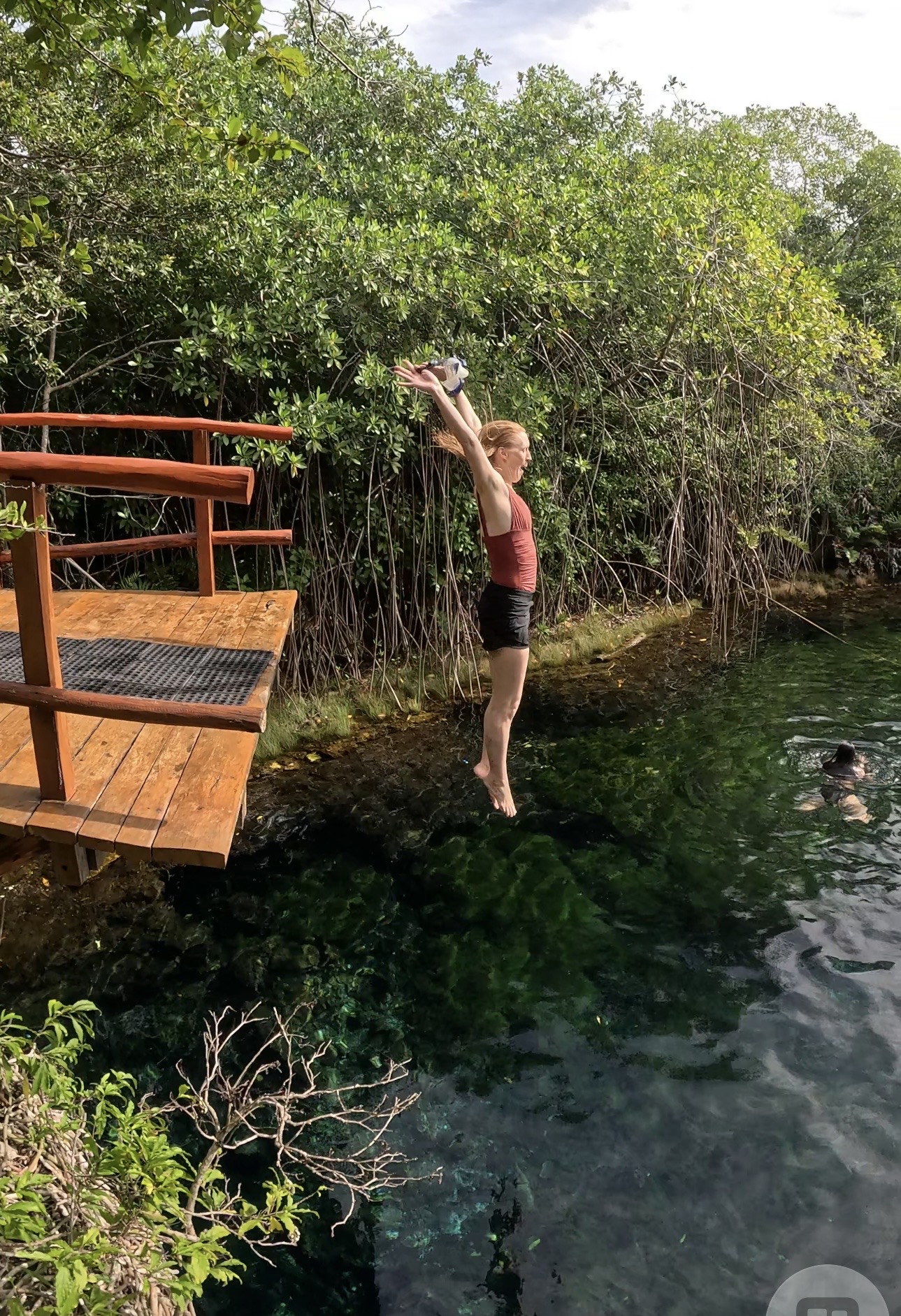 Person jumping into water from a wooden dock, surrounded by green trees and clear water.