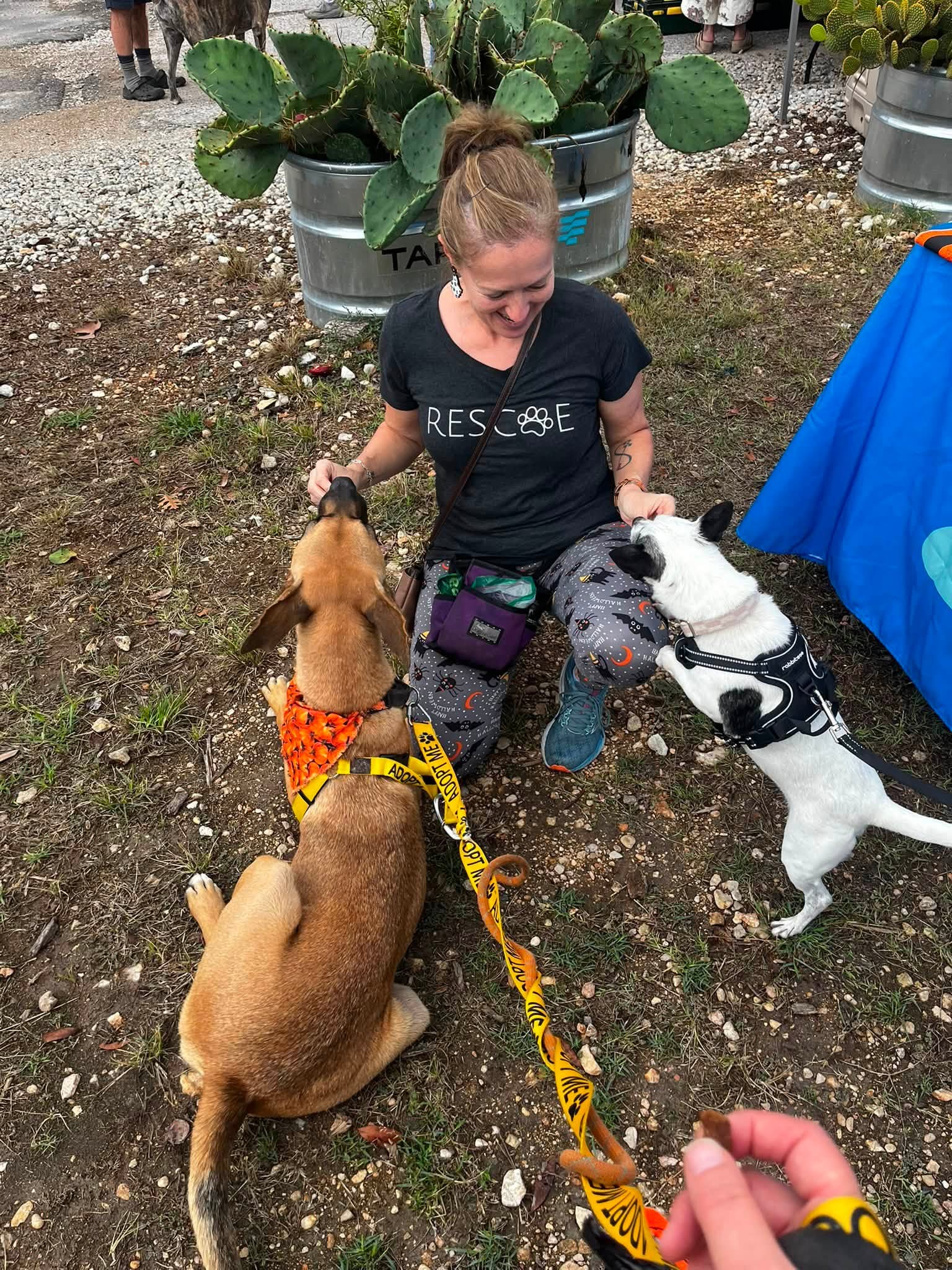 Woman crouching with two dogs, one sitting and one standing, outdoors near cacti and a blue tent, woman wearing black shirt and patterned pants.
