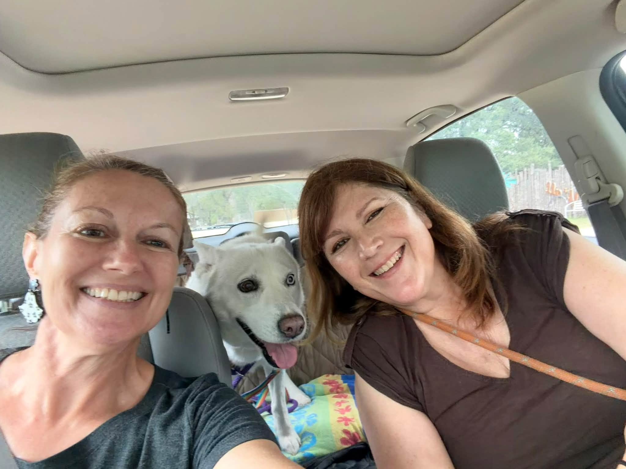 Two women and a dog sitting in a car, smiling at the camera.