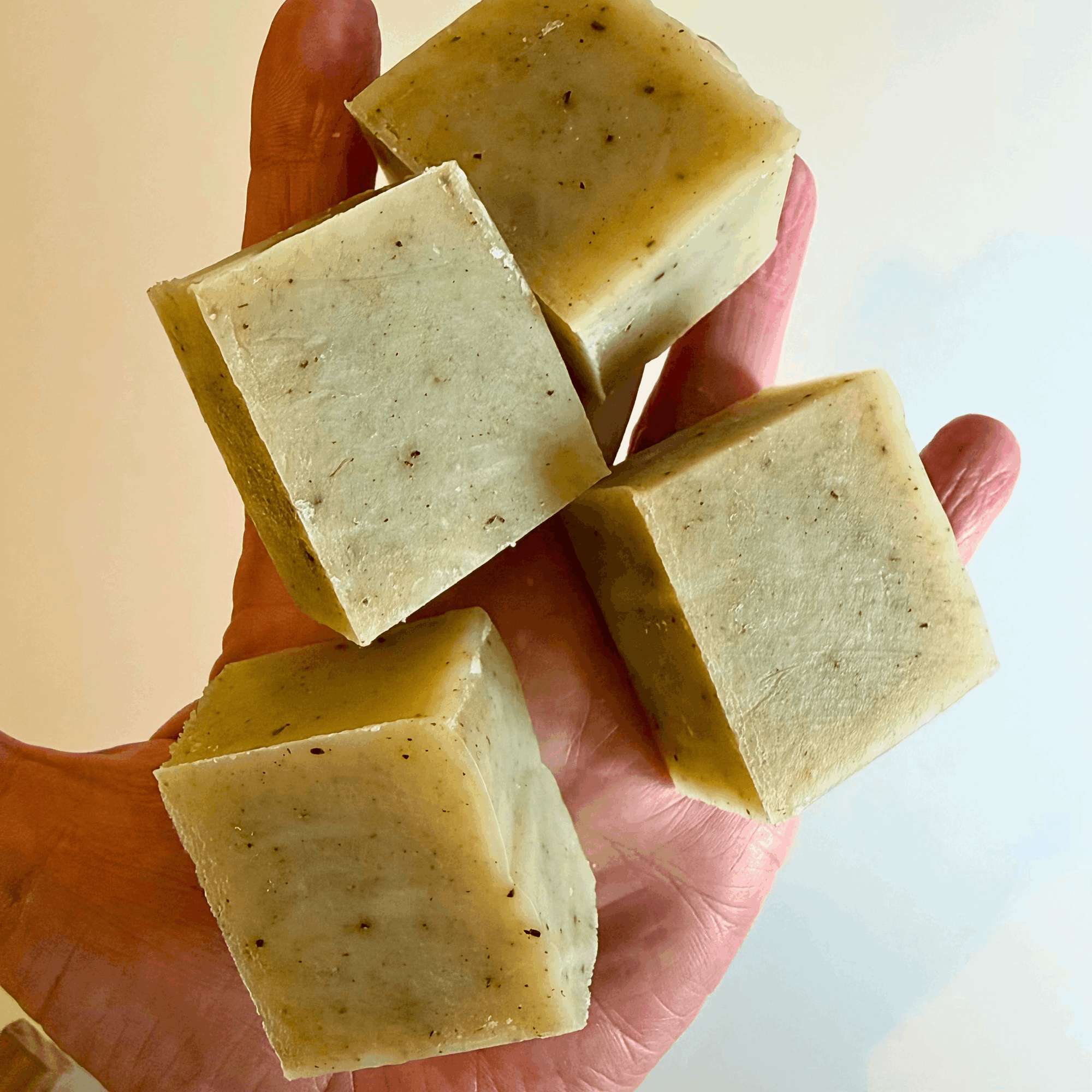 Hand holding five rectangular soap bars with speckled appearance against a plain background.