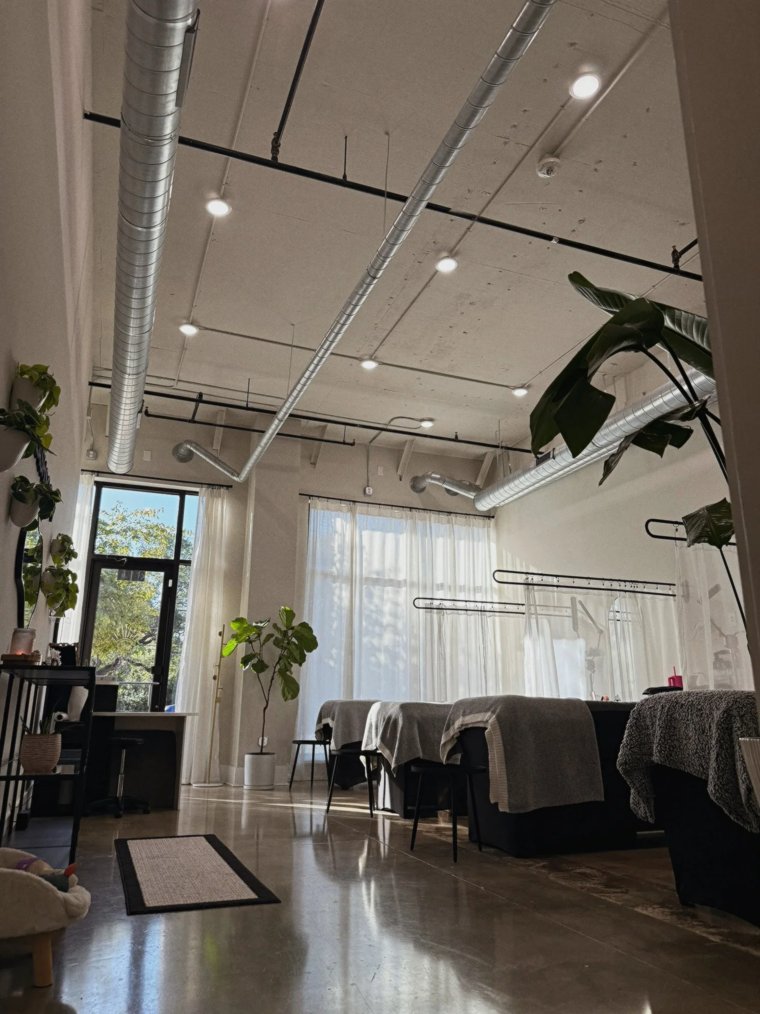 Interior of a bright room with tables, chairs, plants, and large windows with curtains.