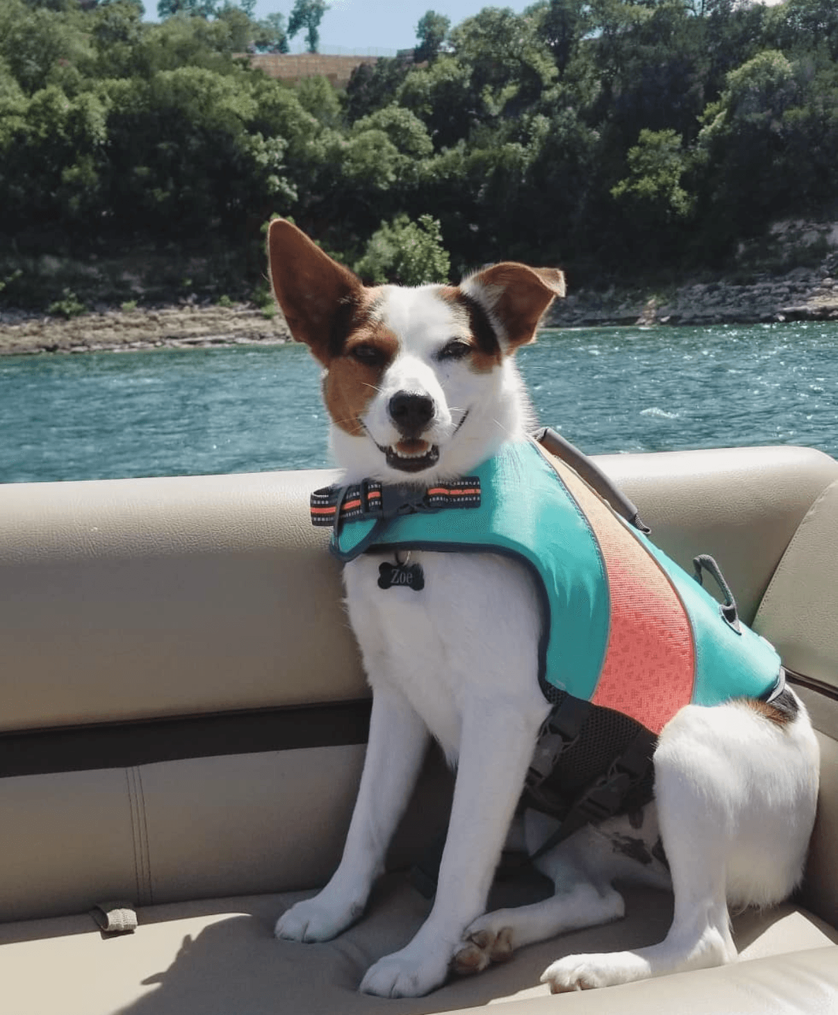 A small white and brown dog wearing a turquoise and coral life jacket sits on a boat beside the water.