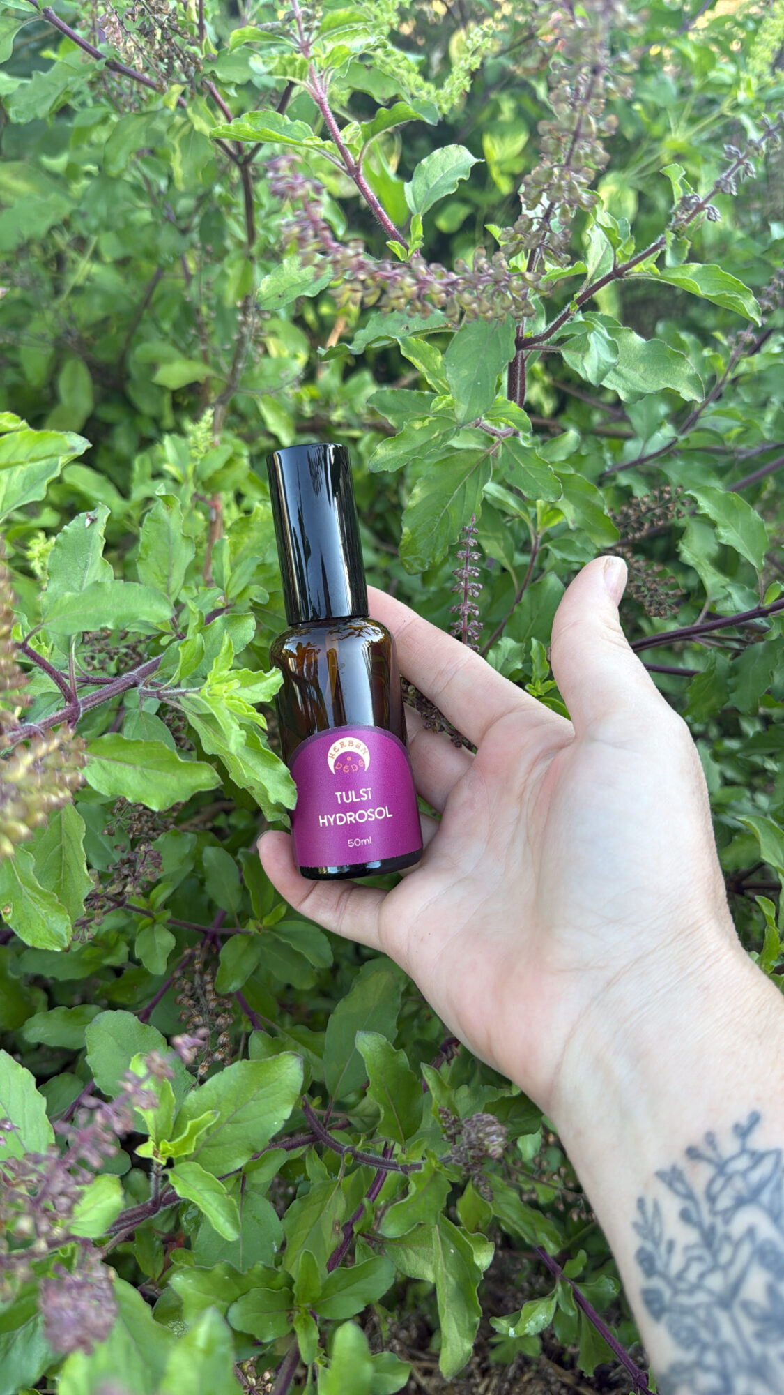 Hand holding a small bottle with purple label in front of green leafy background.