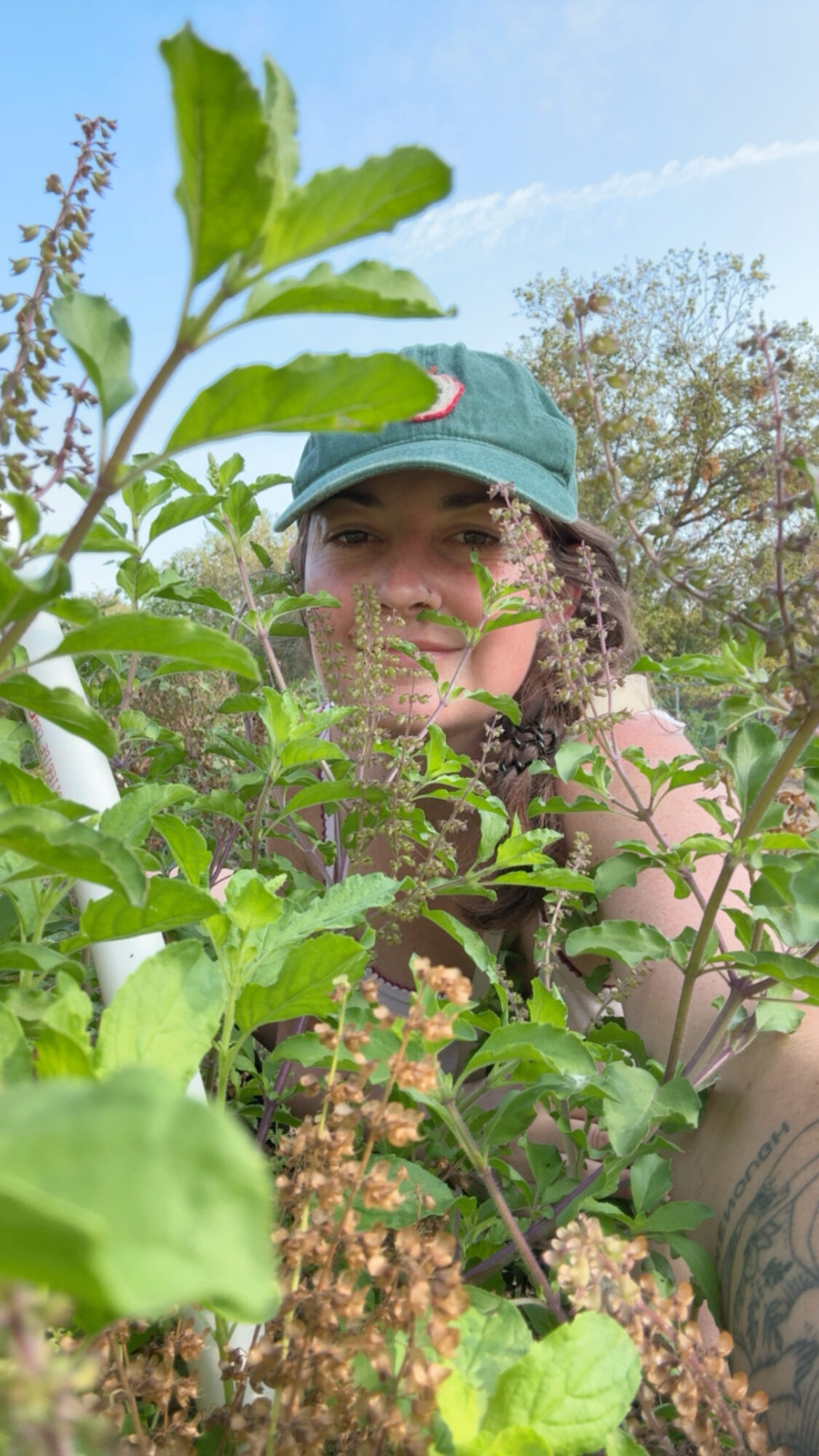 Person with a cap among green plants outdoors, blue sky and trees in background.
