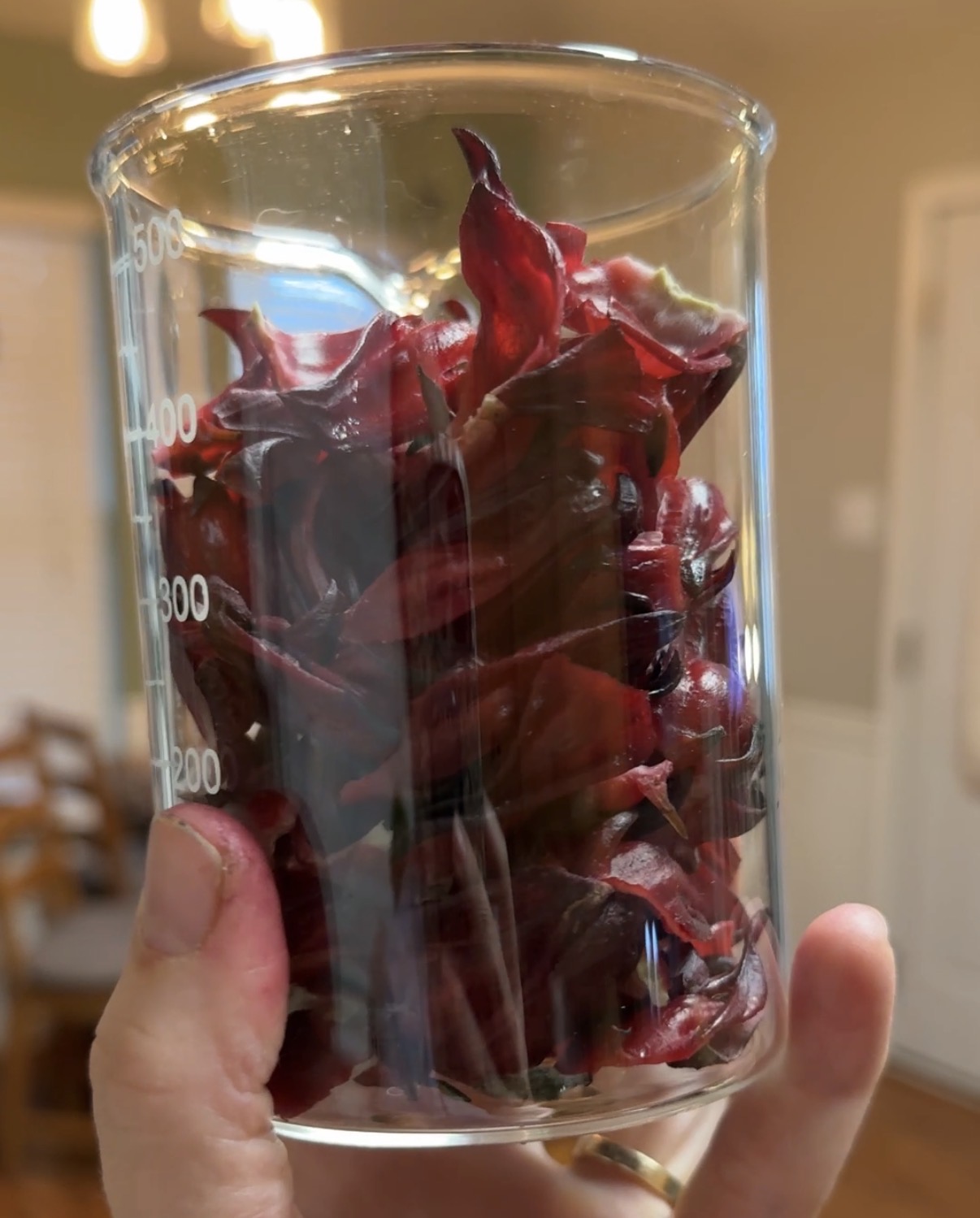 Person holding a glass beaker filled with red flower petals, indoors with a blurred background.