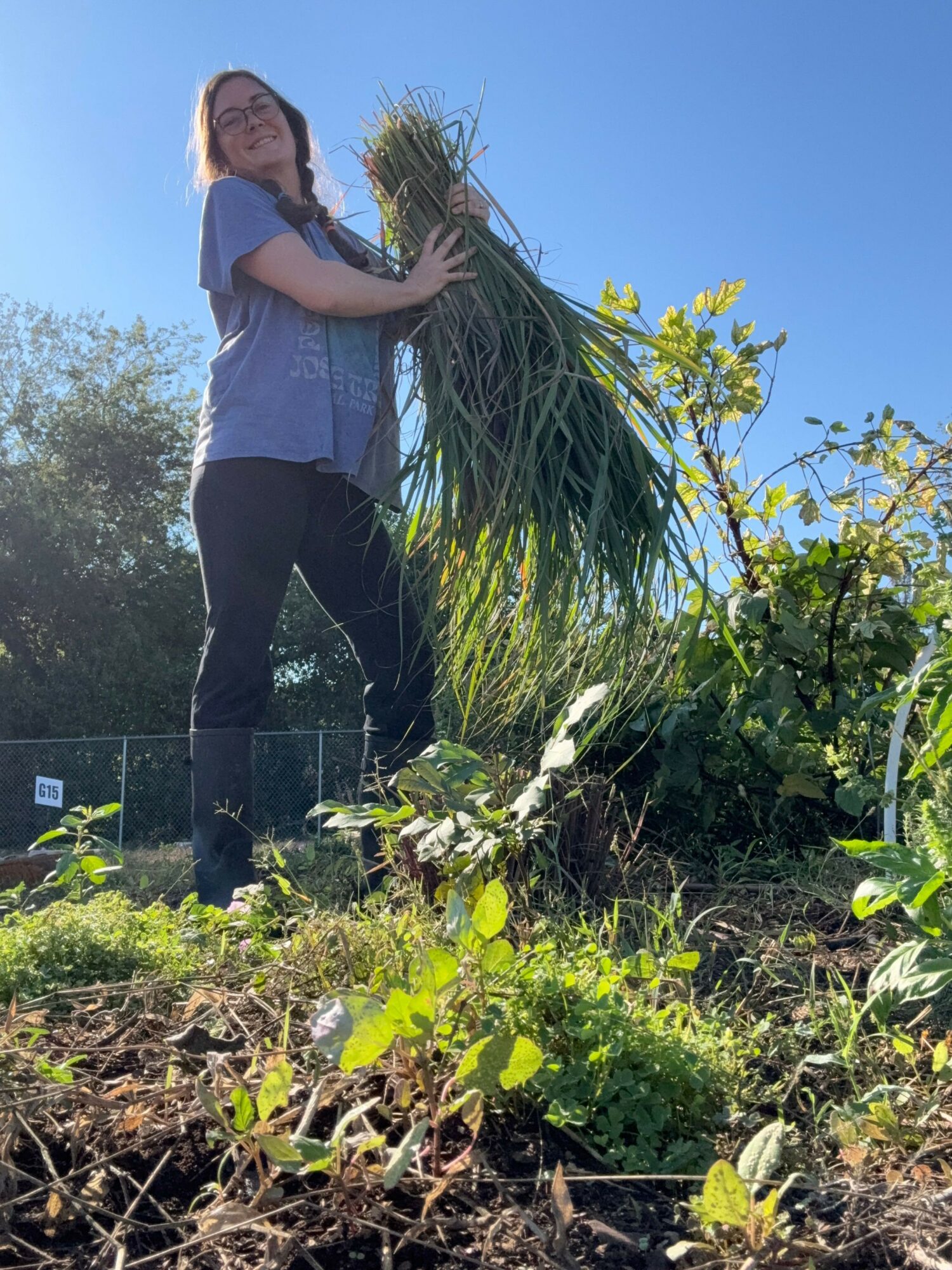 Person standing outdoors holding tall grass, surrounded by green plants and clear blue sky.