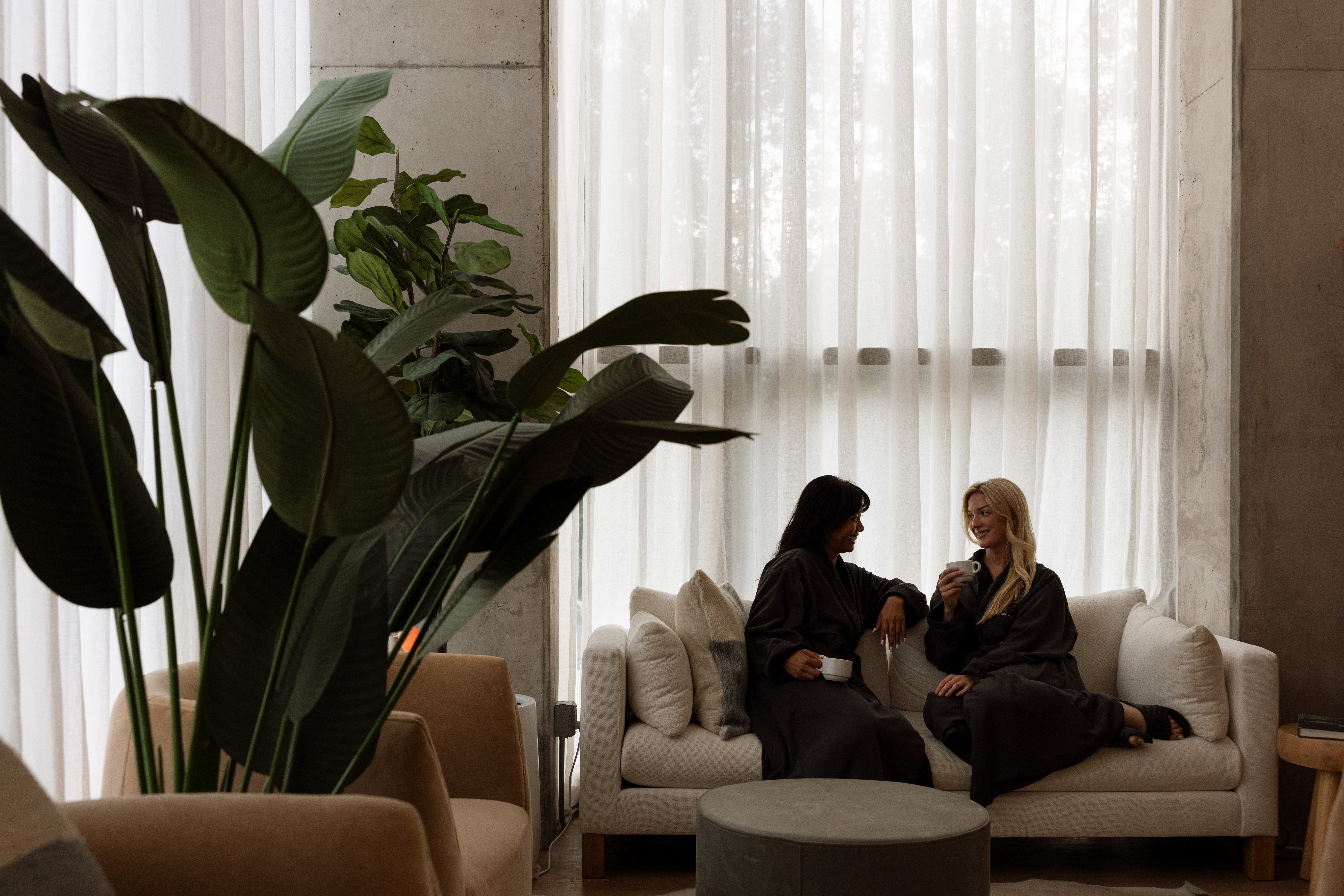 Two people sit on a sofa beside large indoor plants and a bright curtained window.
