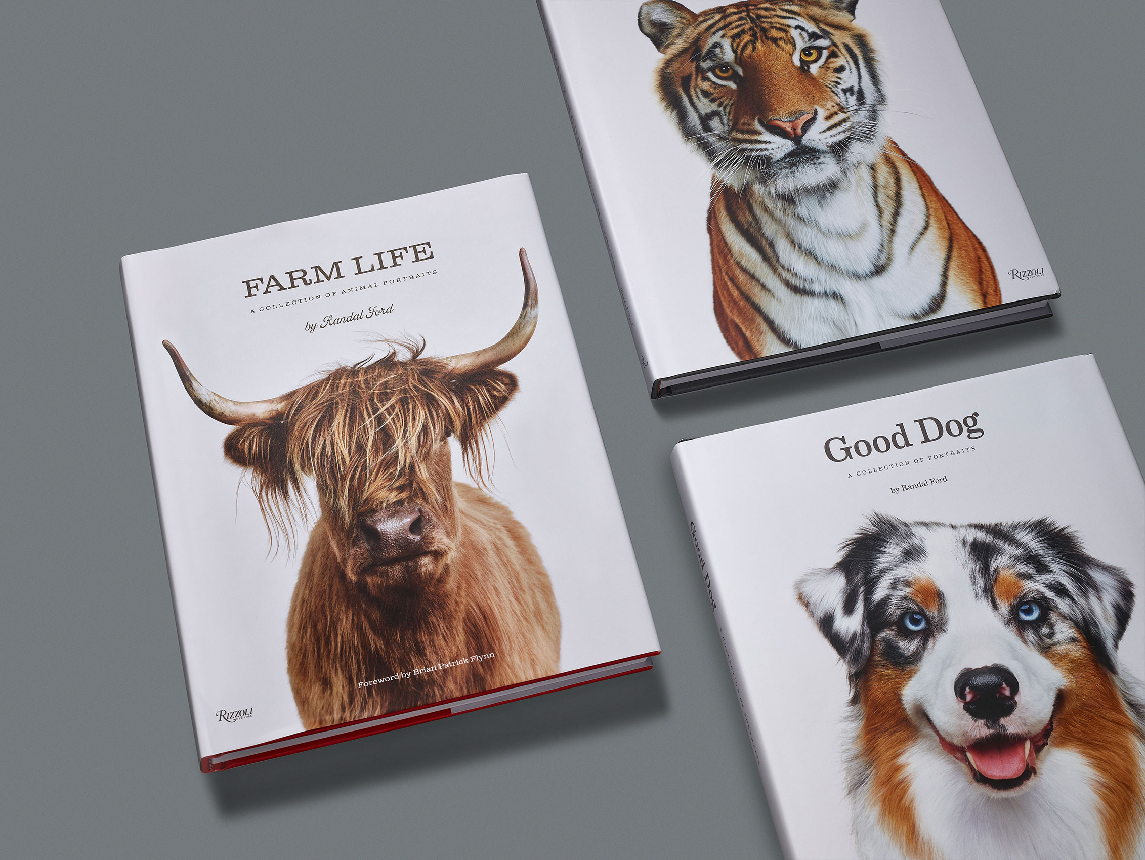 Three illustrated books featuring a Highland cow, a tiger, and a dog on a gray surface.