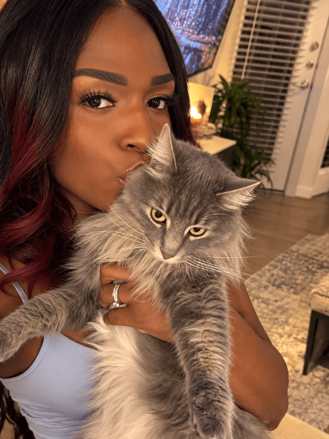 A person holds a fluffy gray cat close to their face in a living room.