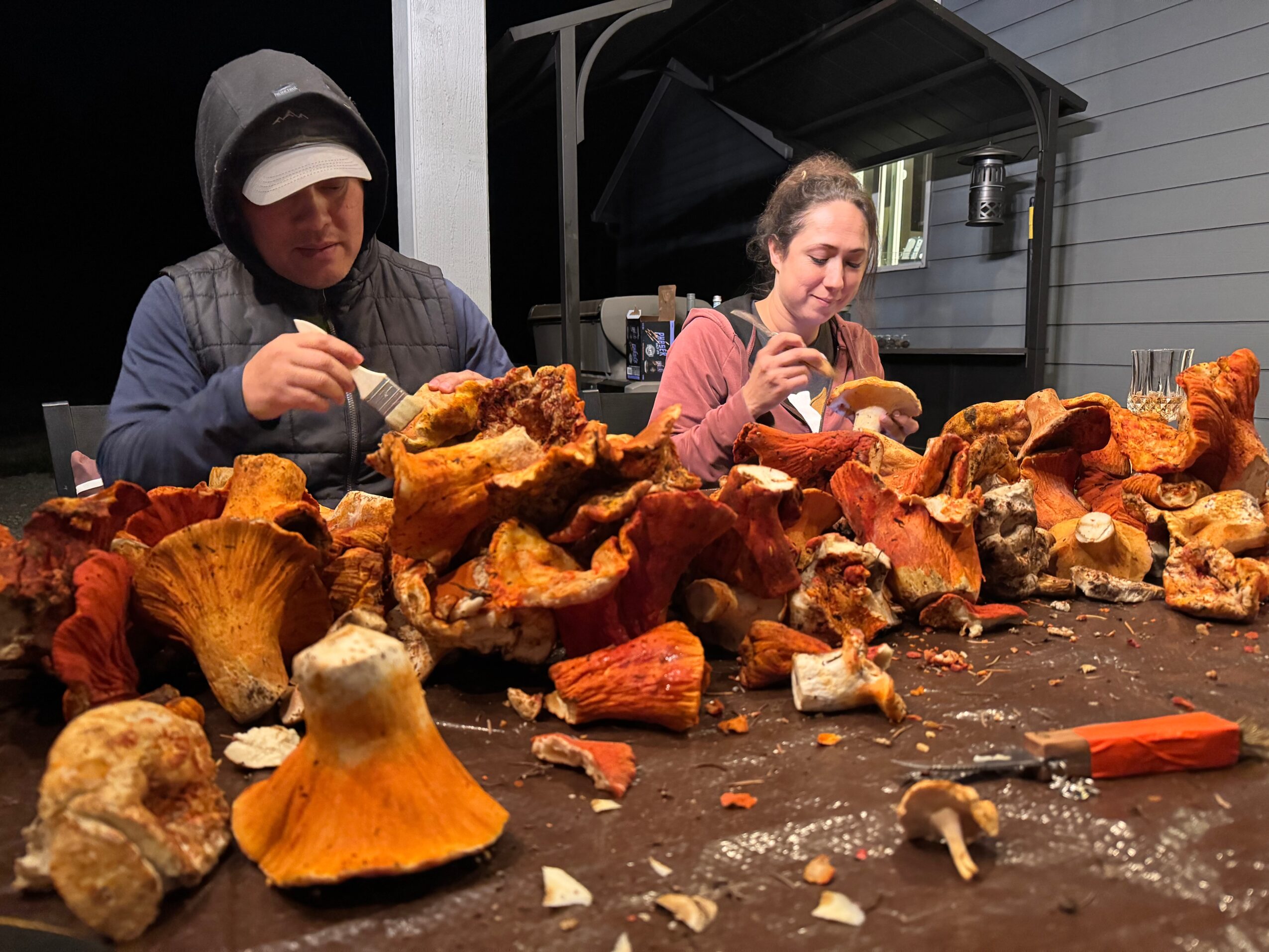 Two people sort orange mushrooms on a table outdoors at night.