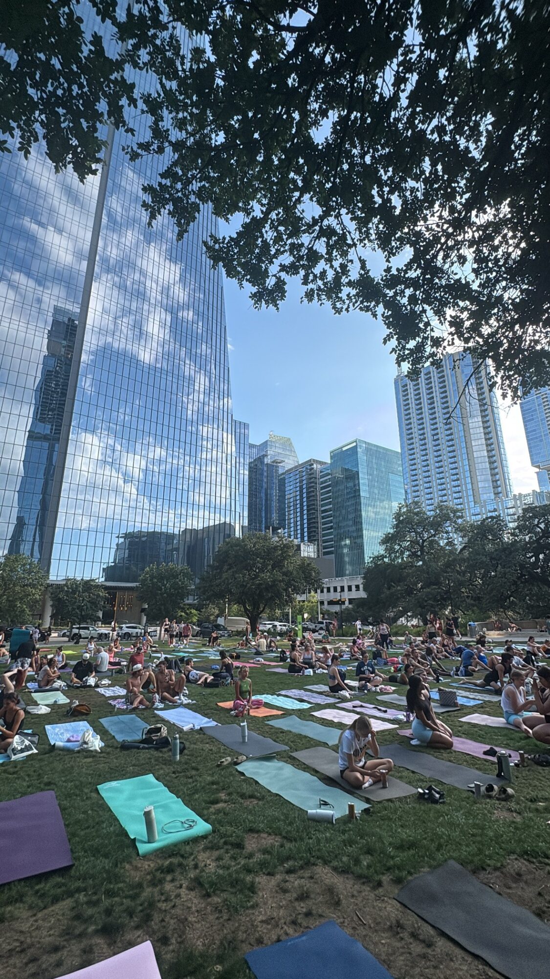 People sit on blankets in a grassy park beneath trees, with tall glass buildings in the background.