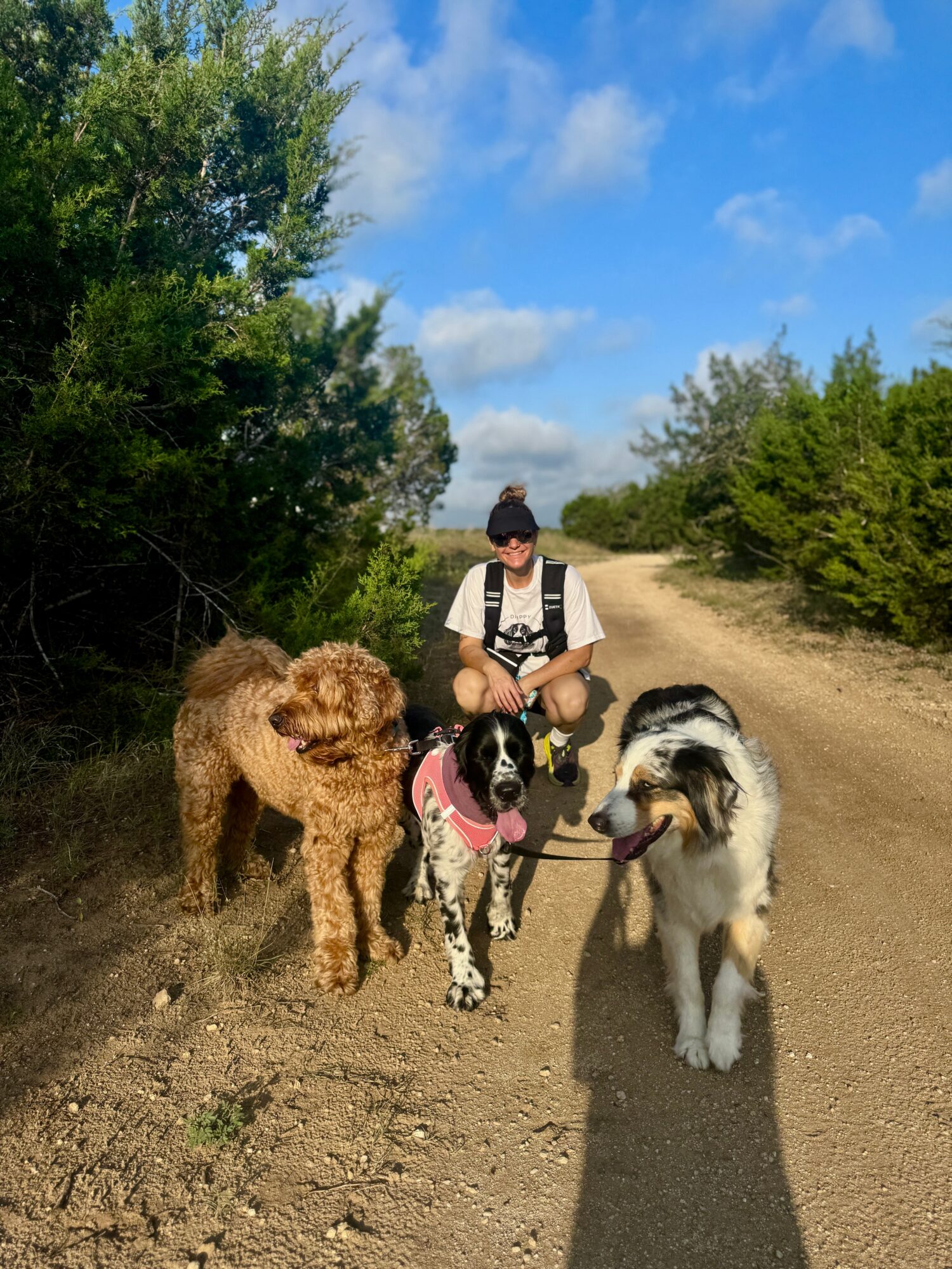A person crouches on a dirt path beside three dogs, with trees and blue sky around them.