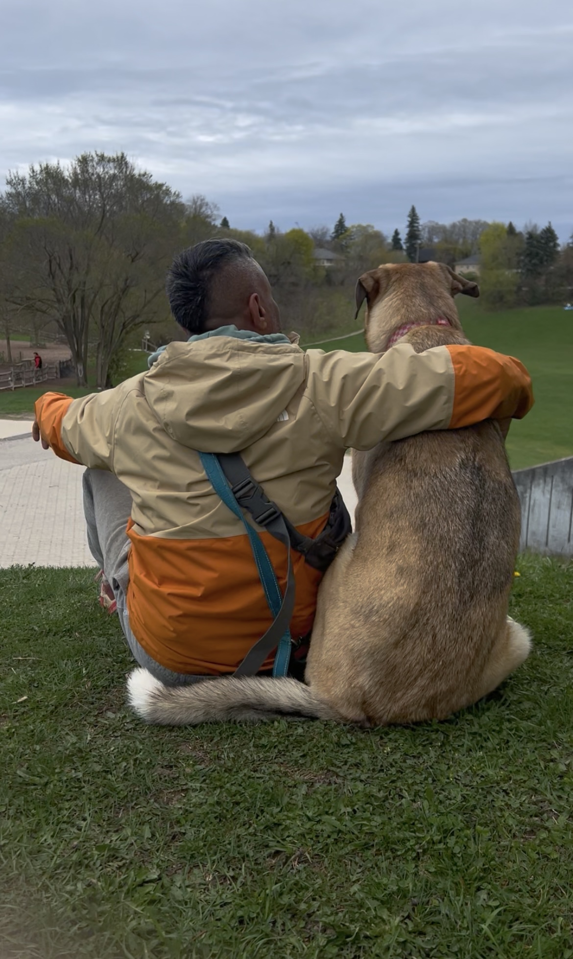 A person sits beside a large dog, with an arm around its shoulders, overlooking a grassy landscape.