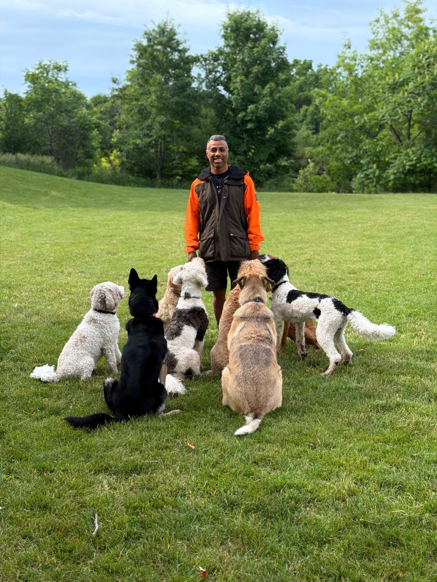 A person in an orange jacket stands on a grassy field facing a group of dogs, with trees in the background.