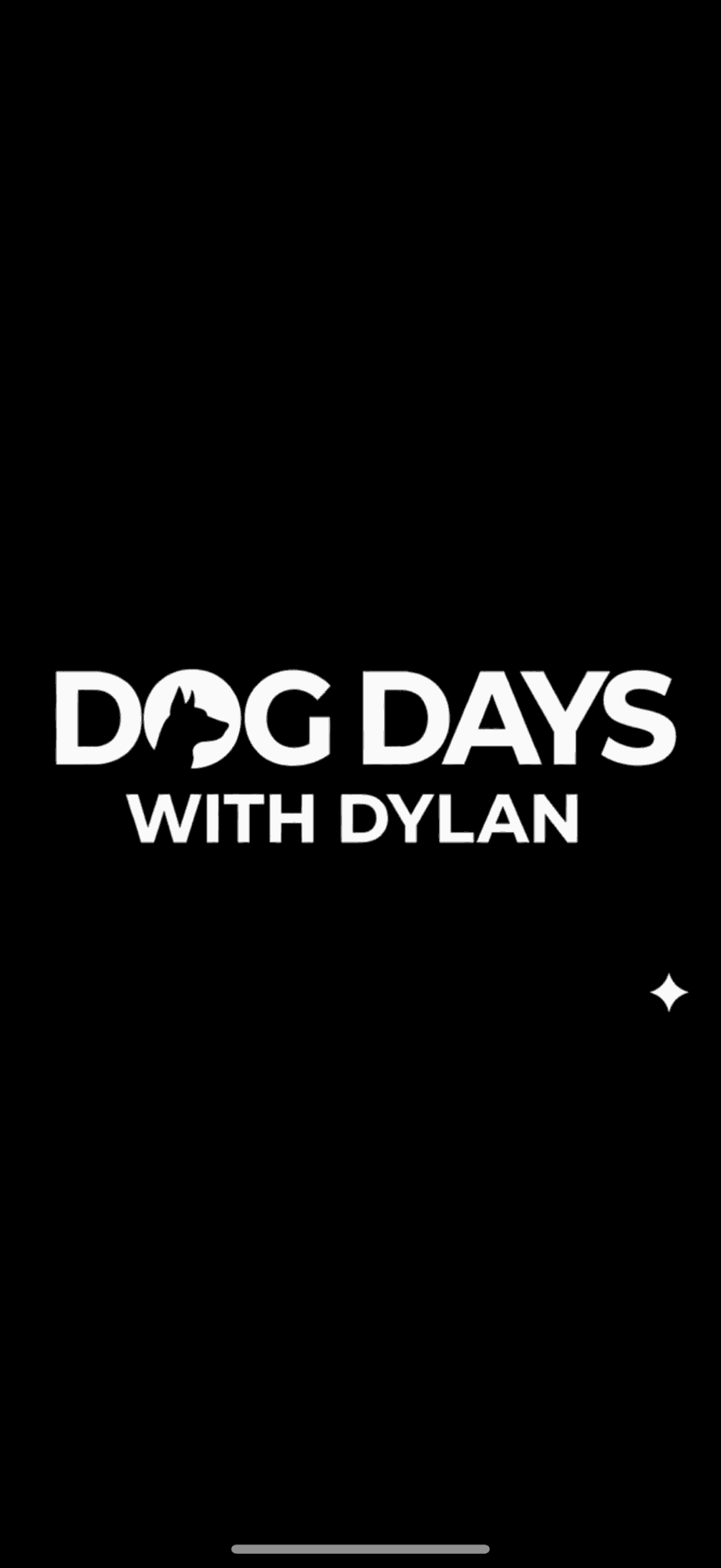 White “Dog Days with Dylan” title on a black background, with a small white star and gray line.